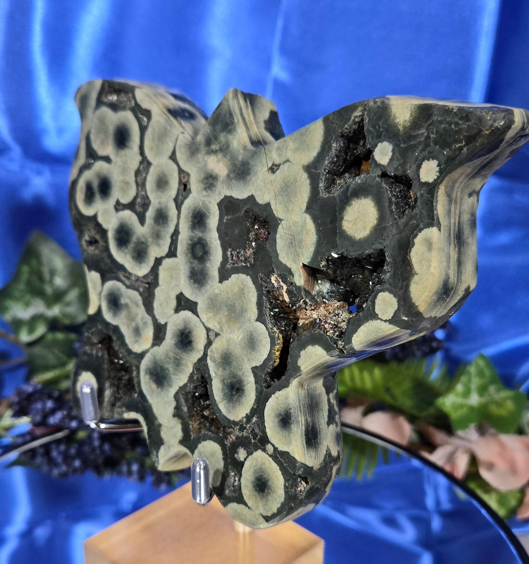ORBICULAR JASPER AGATE BUTTERFLY