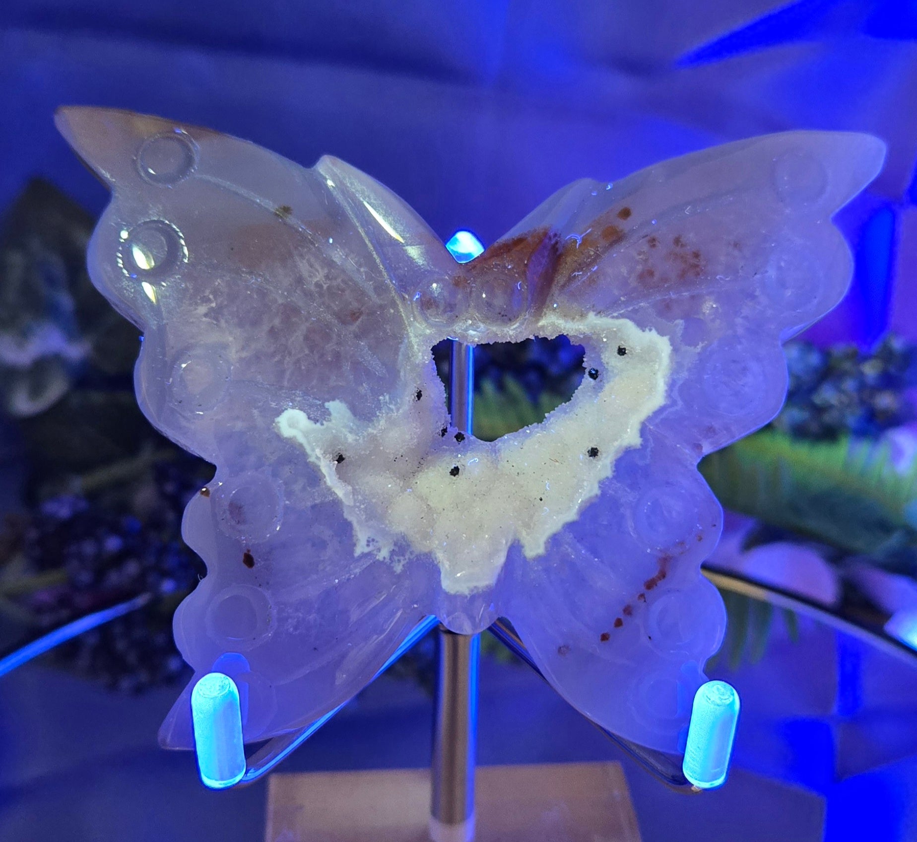 CALCEDONY/AGATE WITH DRUZY QUARTZ BUTTERFLY
