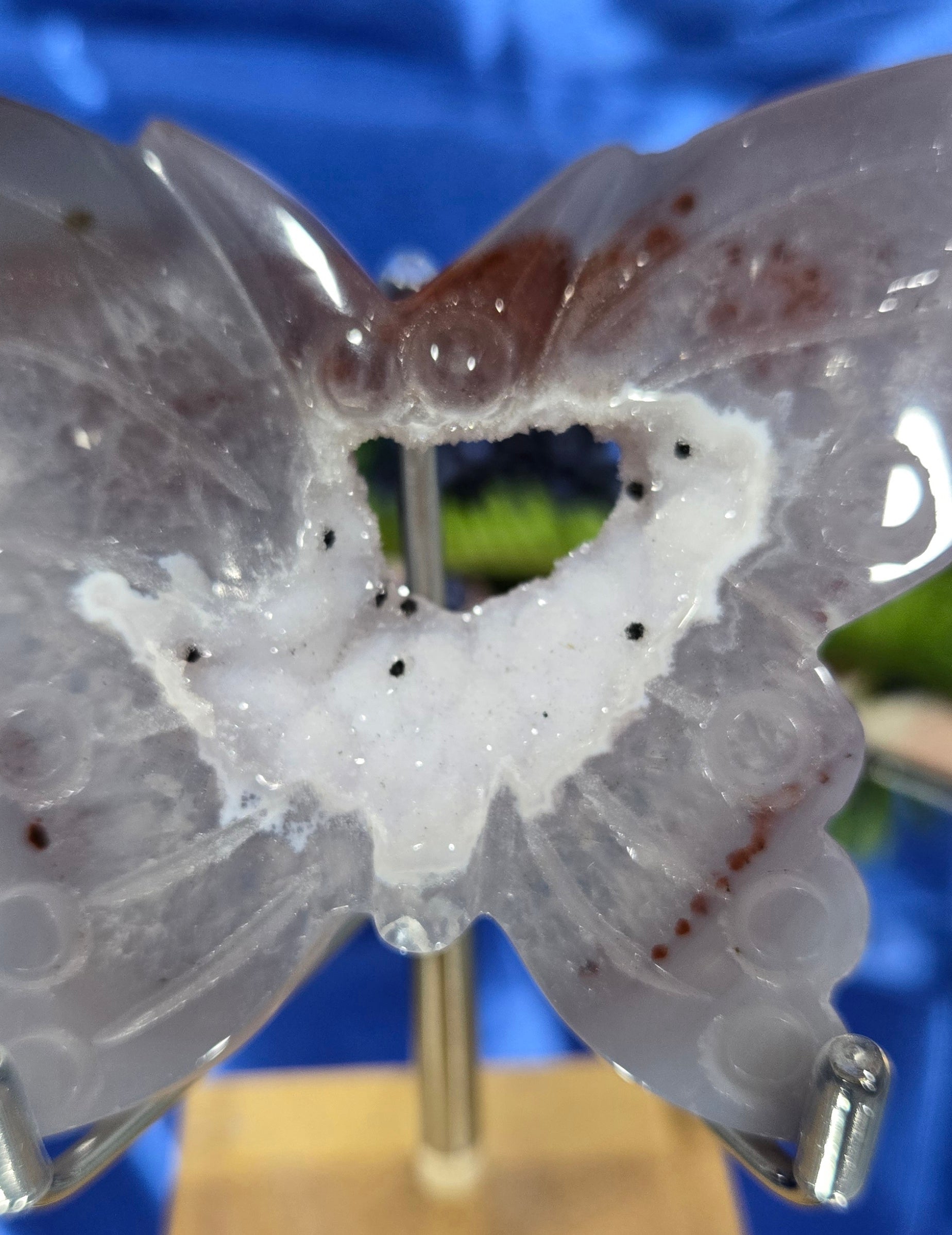 CALCEDONY/AGATE WITH DRUZY QUARTZ BUTTERFLY