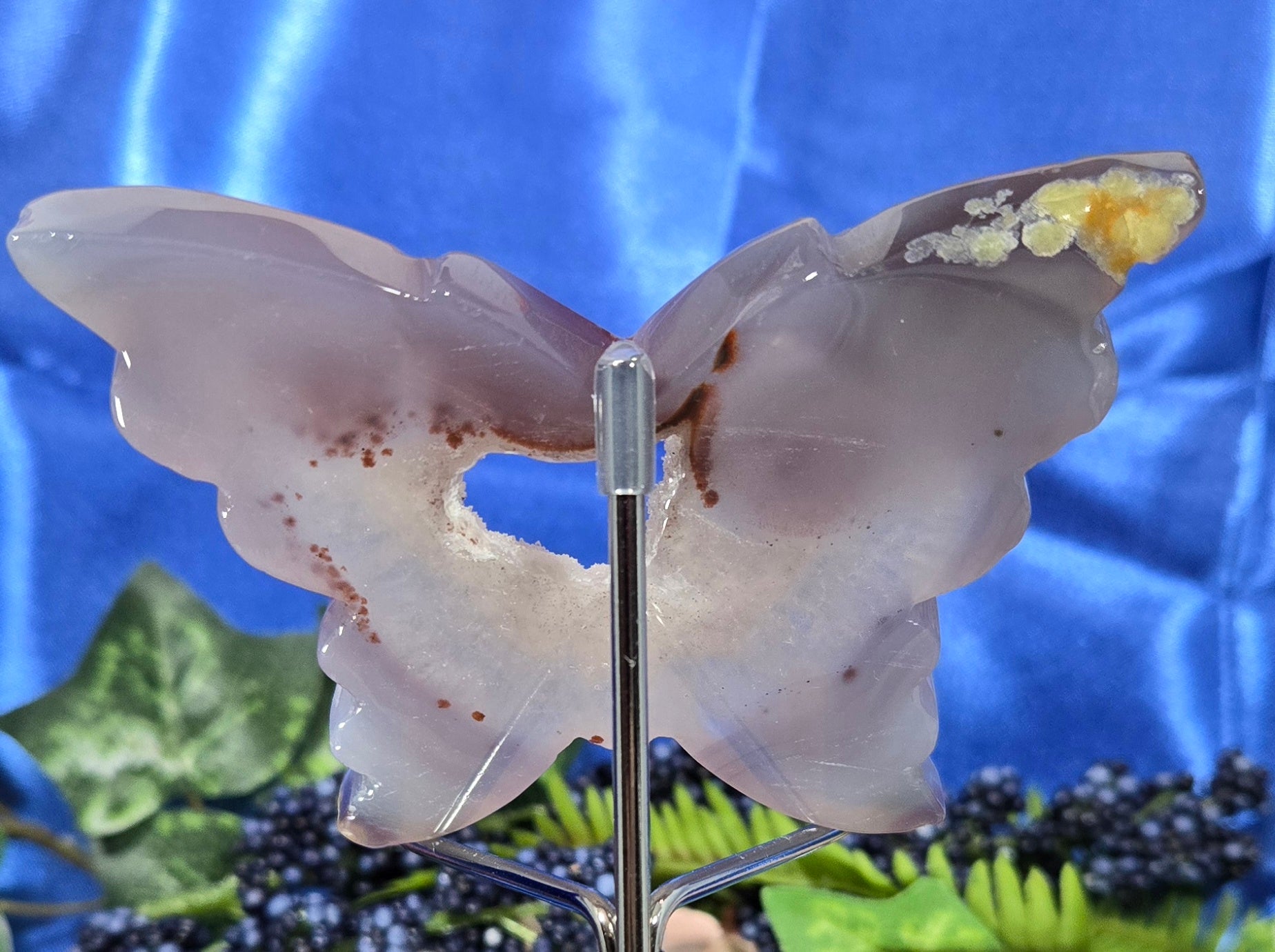 CALCEDONY/AGATE WITH DRUZY QUARTZ BUTTERFLY