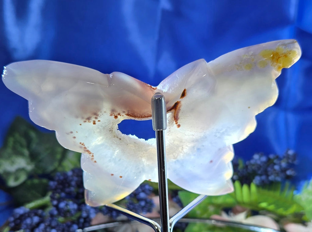 CALCEDONY/AGATE WITH DRUZY QUARTZ BUTTERFLY