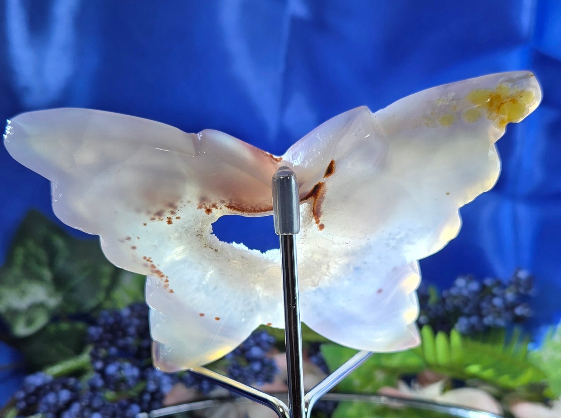 CALCEDONY/AGATE WITH DRUZY QUARTZ BUTTERFLY