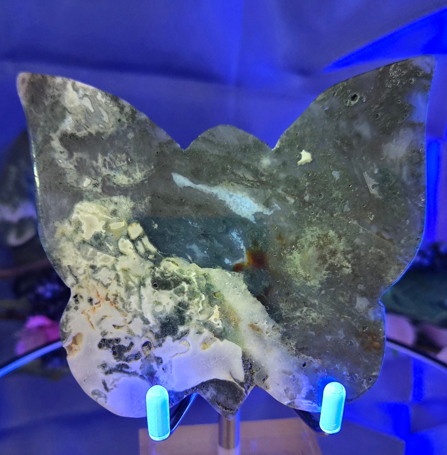 MOSS AGATE BUTTERFLY