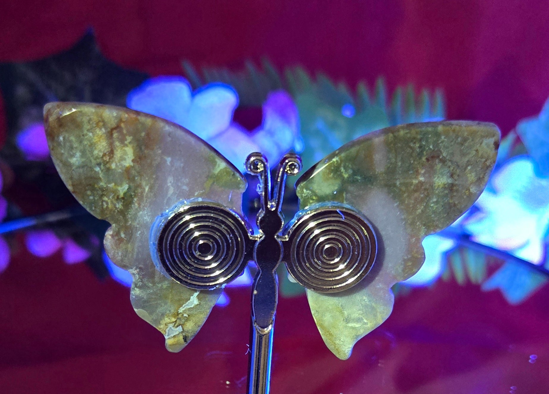 OCEAN JASPER BUTTERFLY