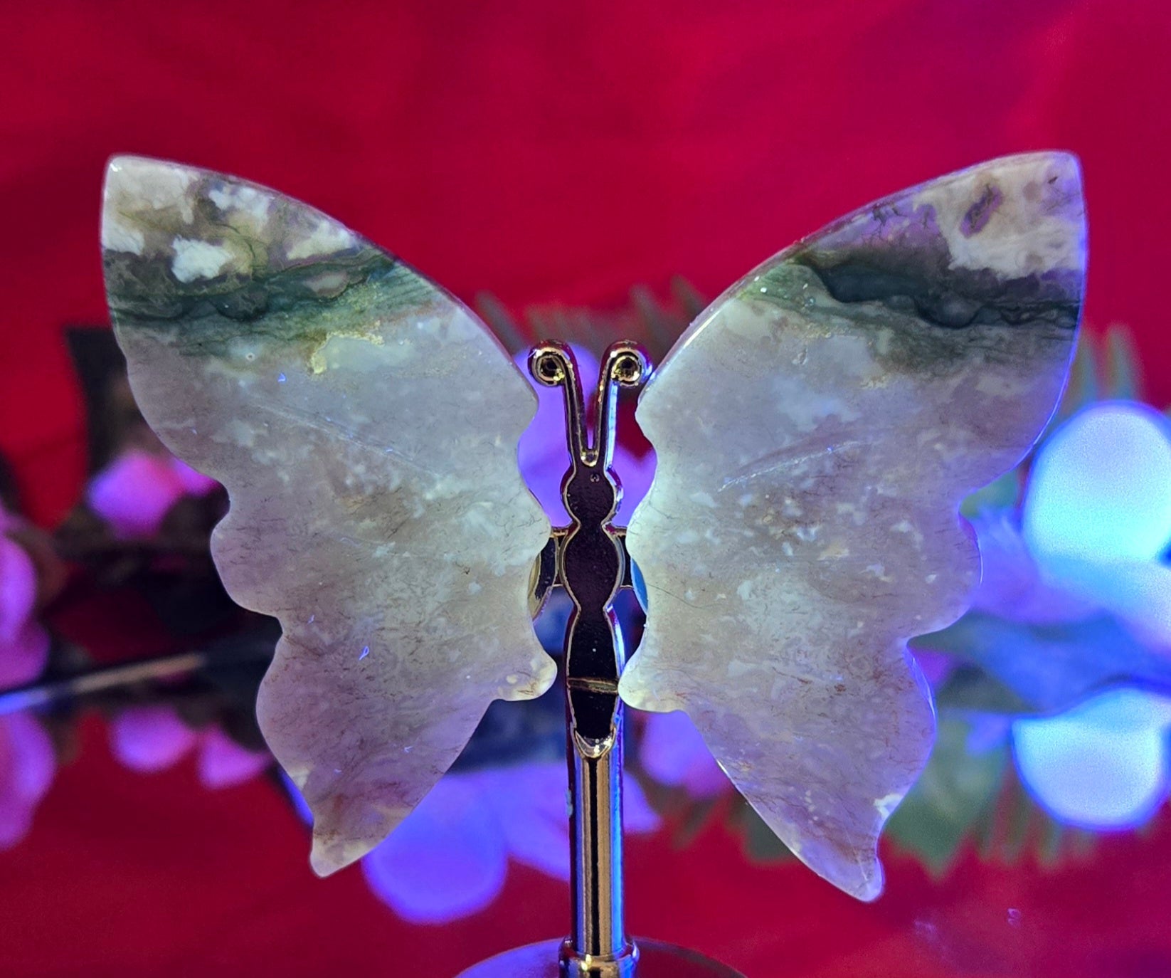 OCEAN JASPER BUTTERFLY