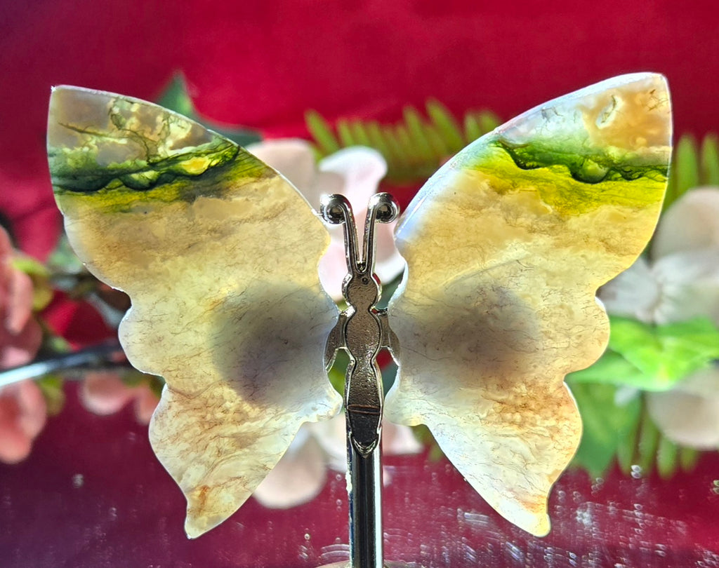 OCEAN JASPER BUTTERFLY