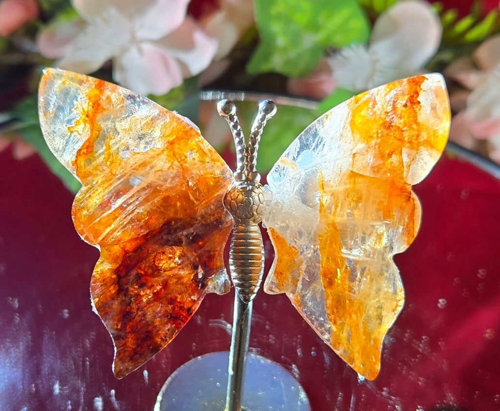 FIREQUARTZ BUTTERFLY