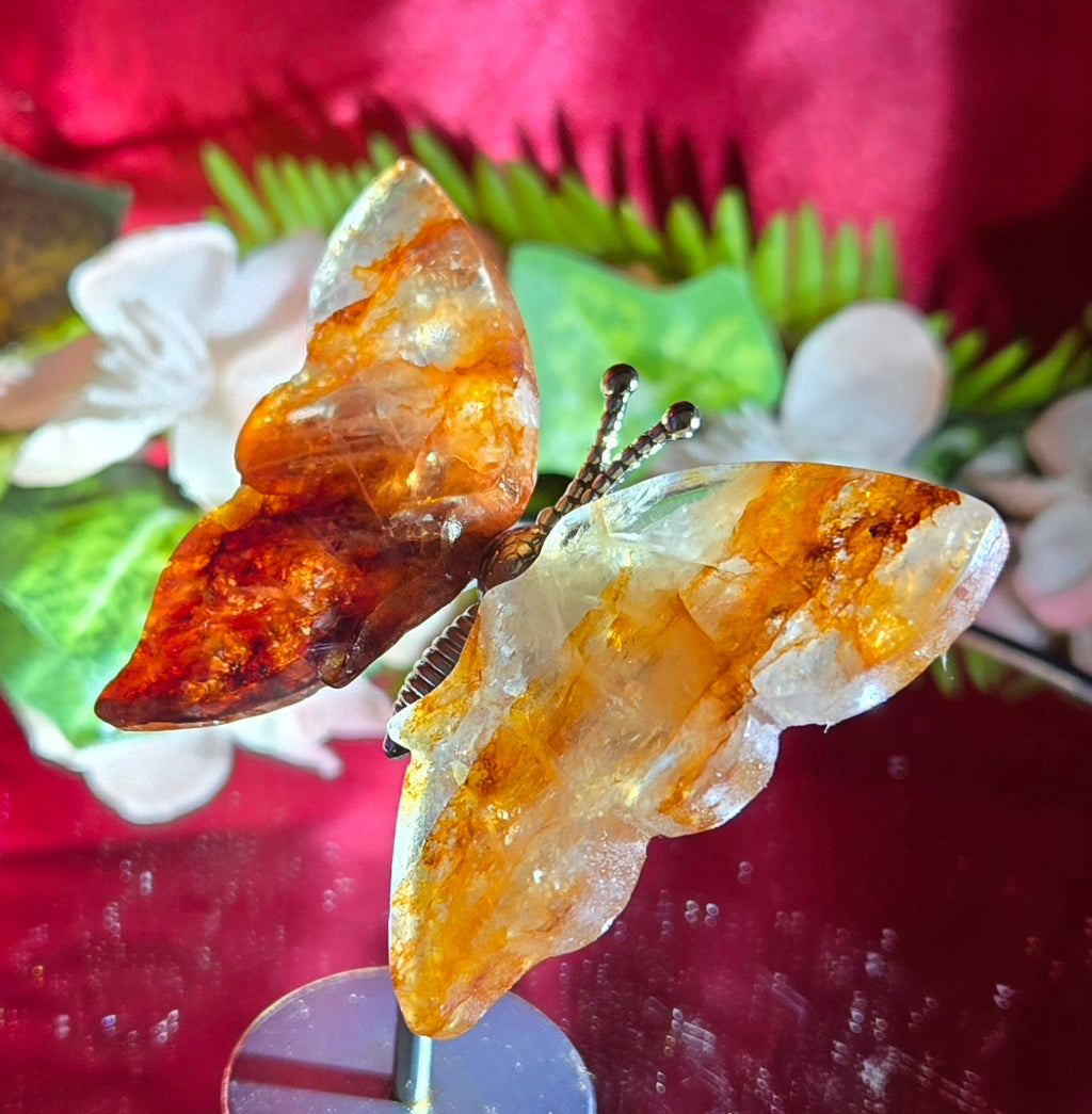 FIREQUARTZ BUTTERFLY