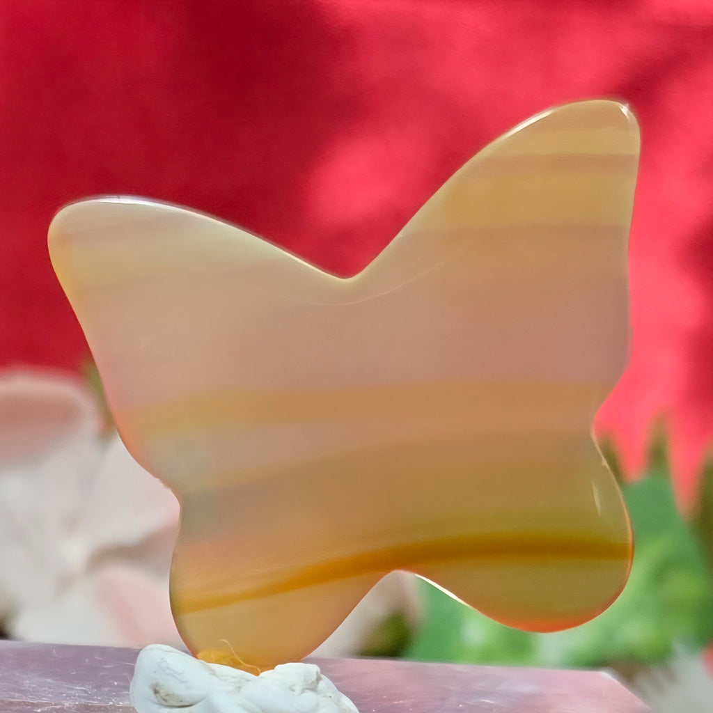 GOLDEN HEALER BUTTERFLY