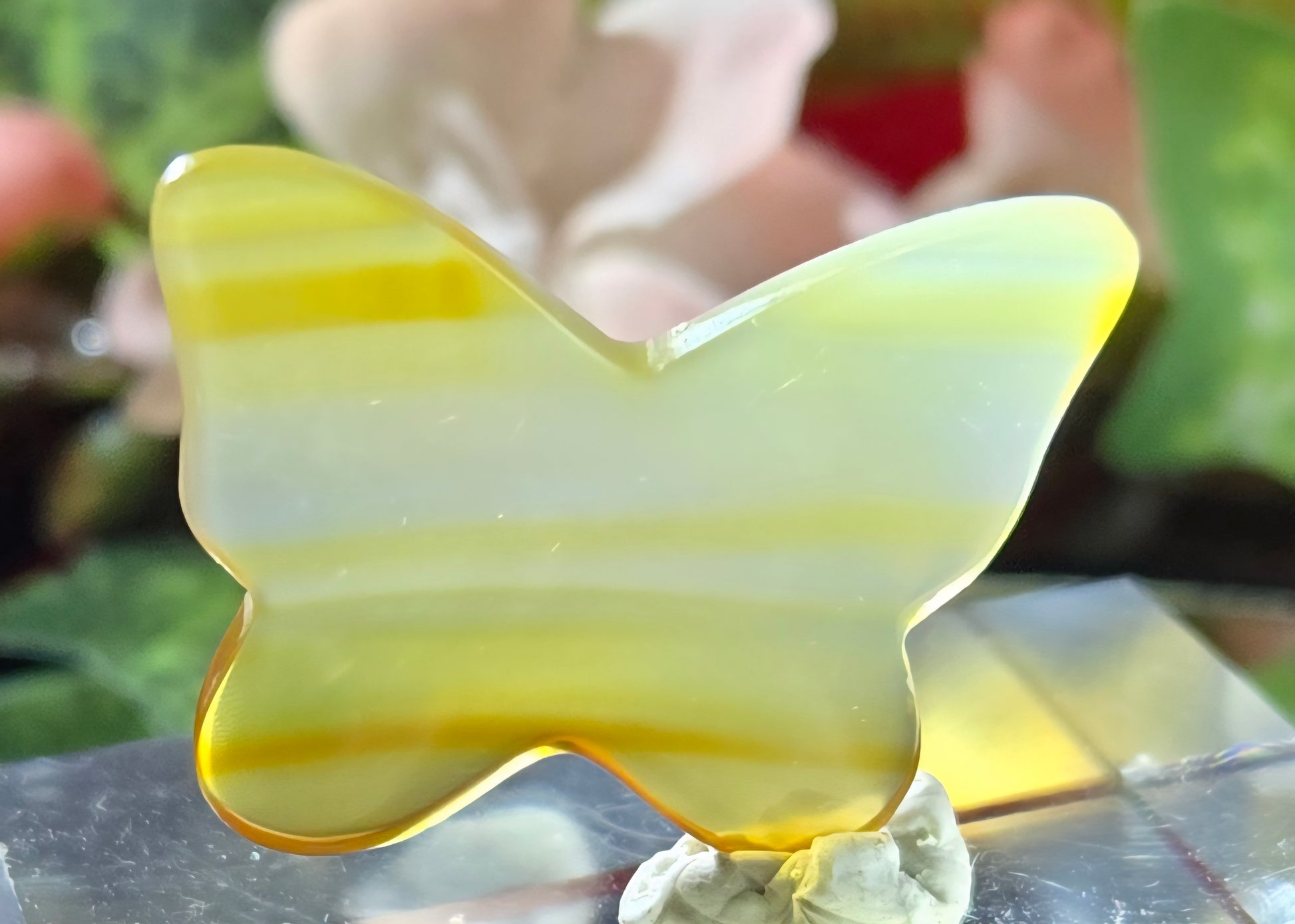 GOLDEN HEALER BUTTERFLY