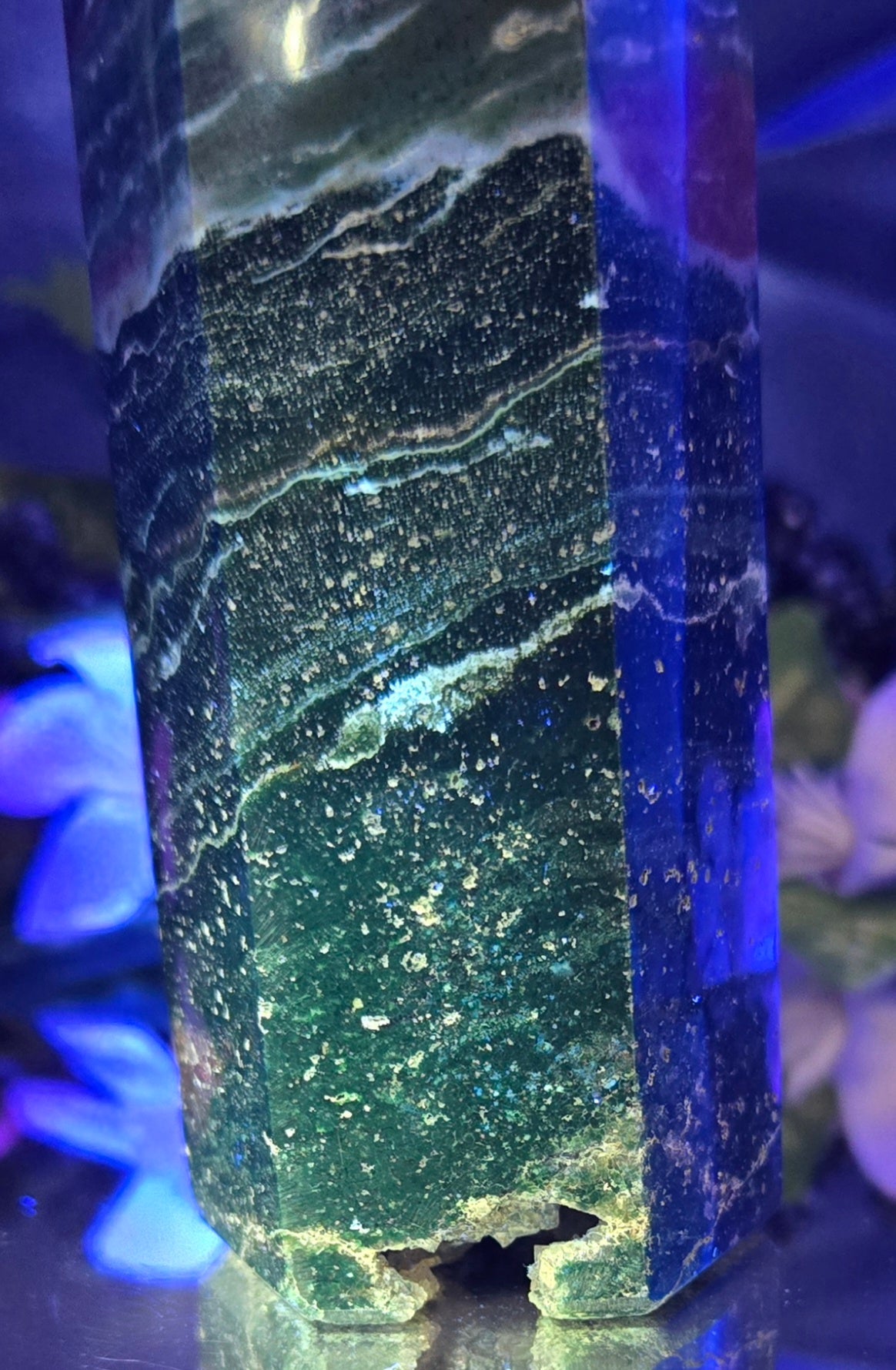 OCEAN JASPER TOWER