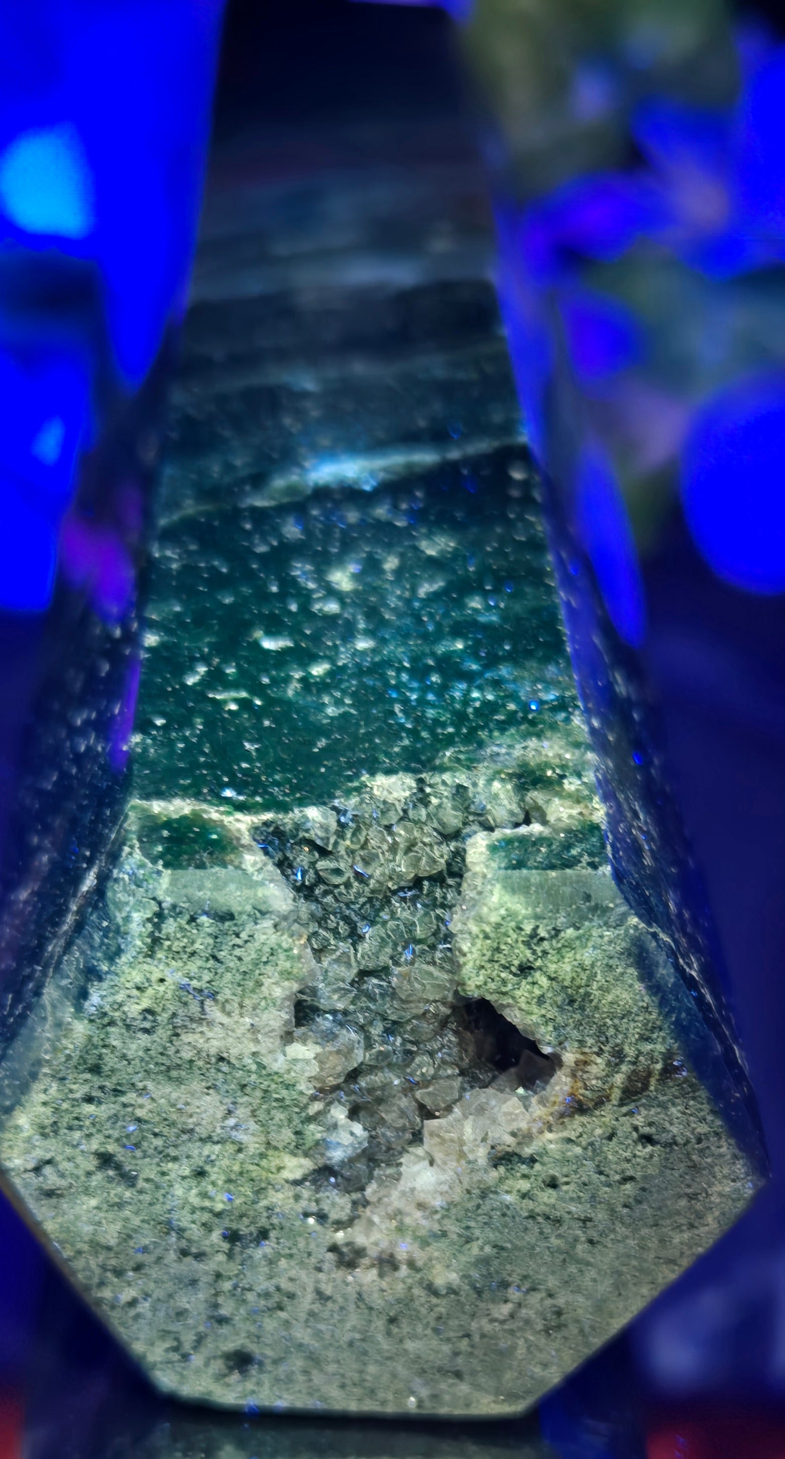 OCEAN JASPER TOWER