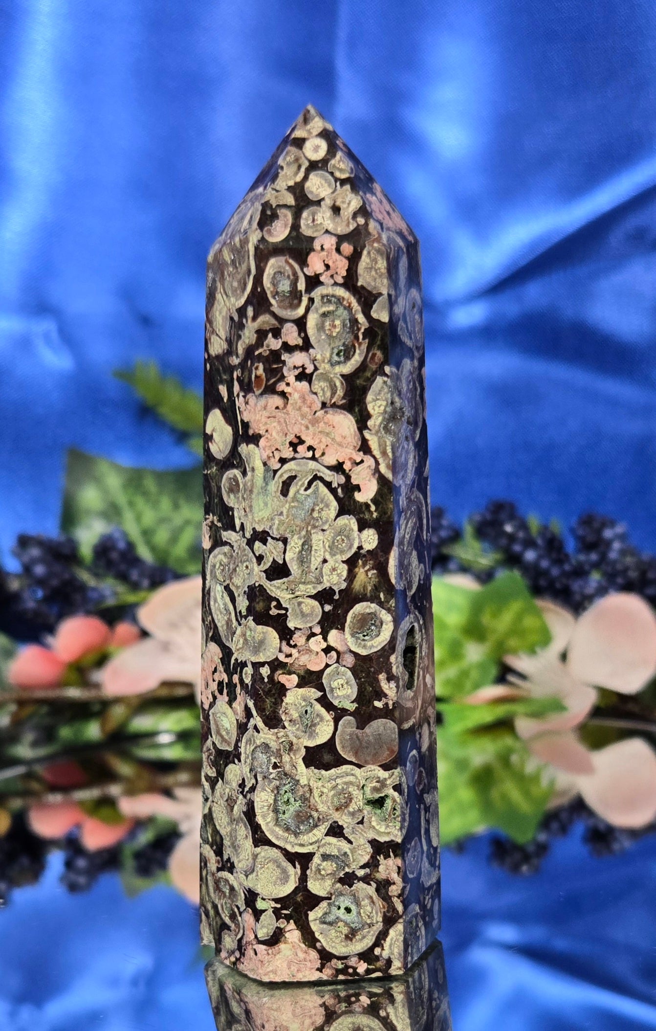 FOSSILIZED STROMBITE