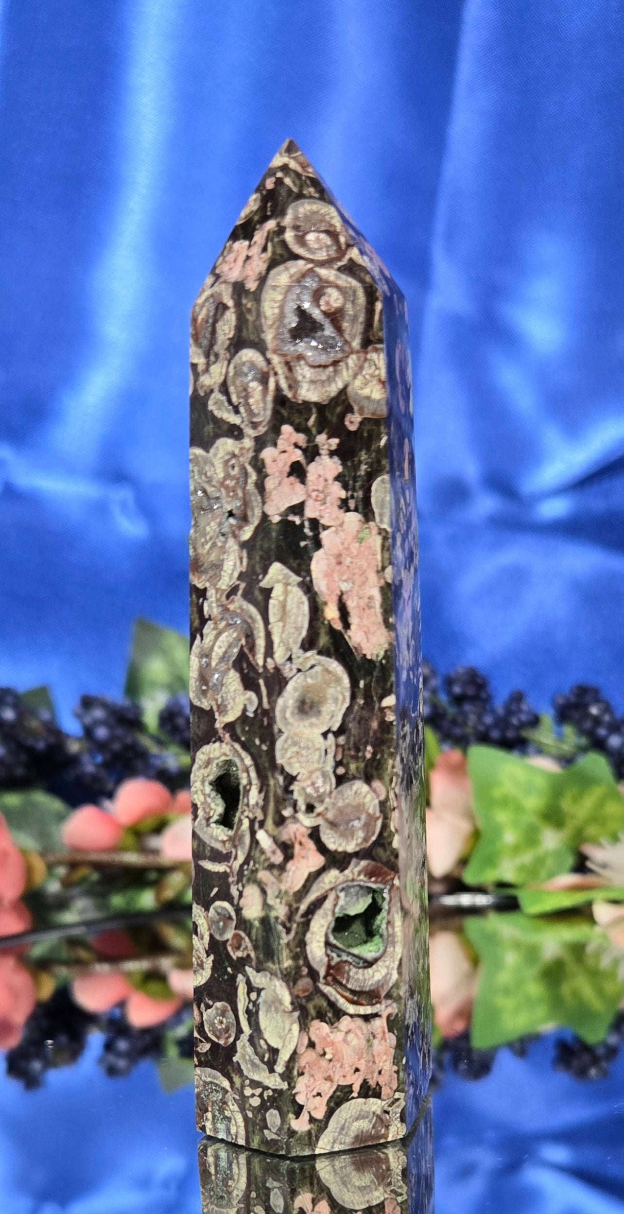 FOSSILIZED STROMBITE