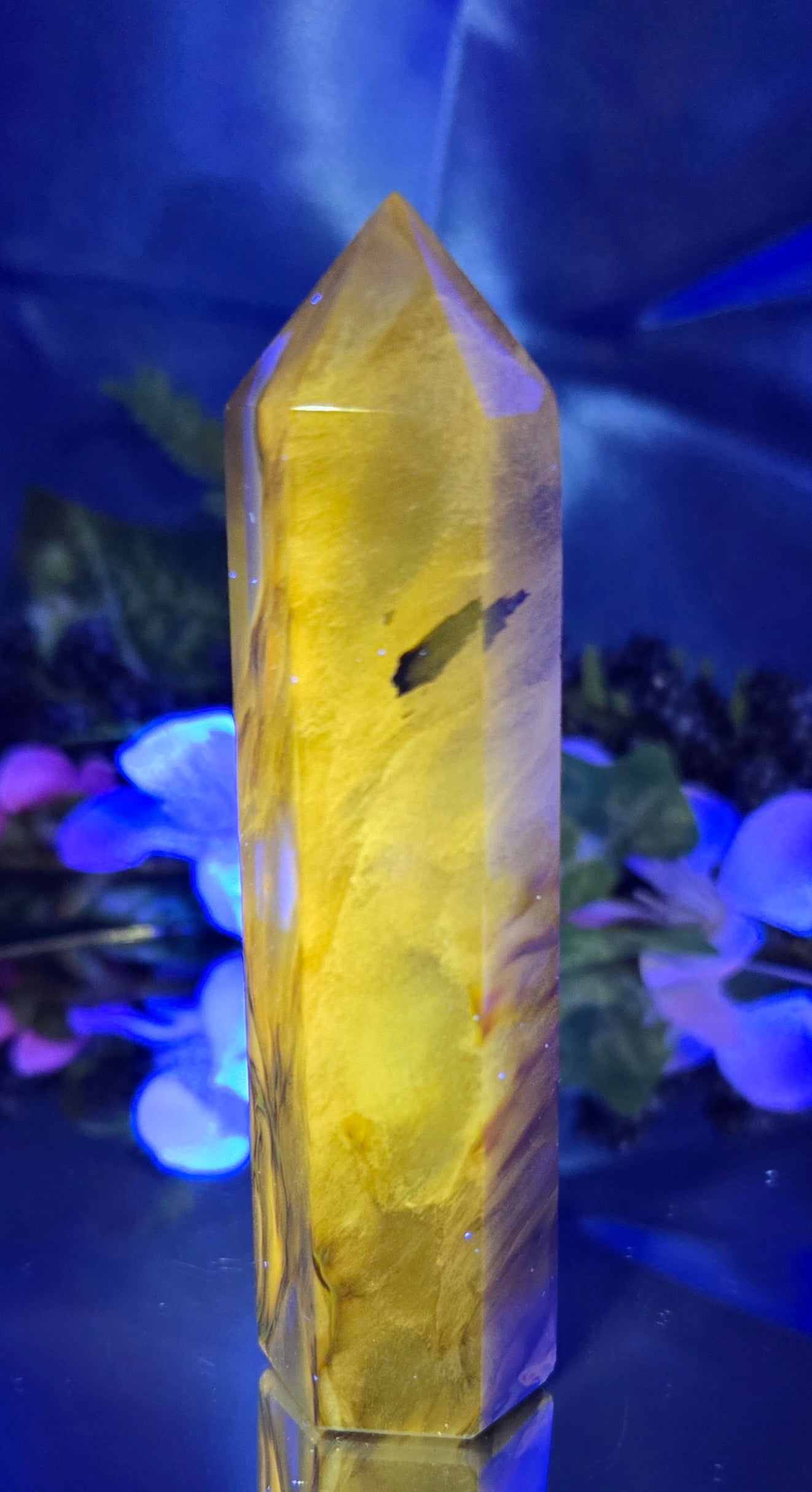 BUMBLE BEE JASPER