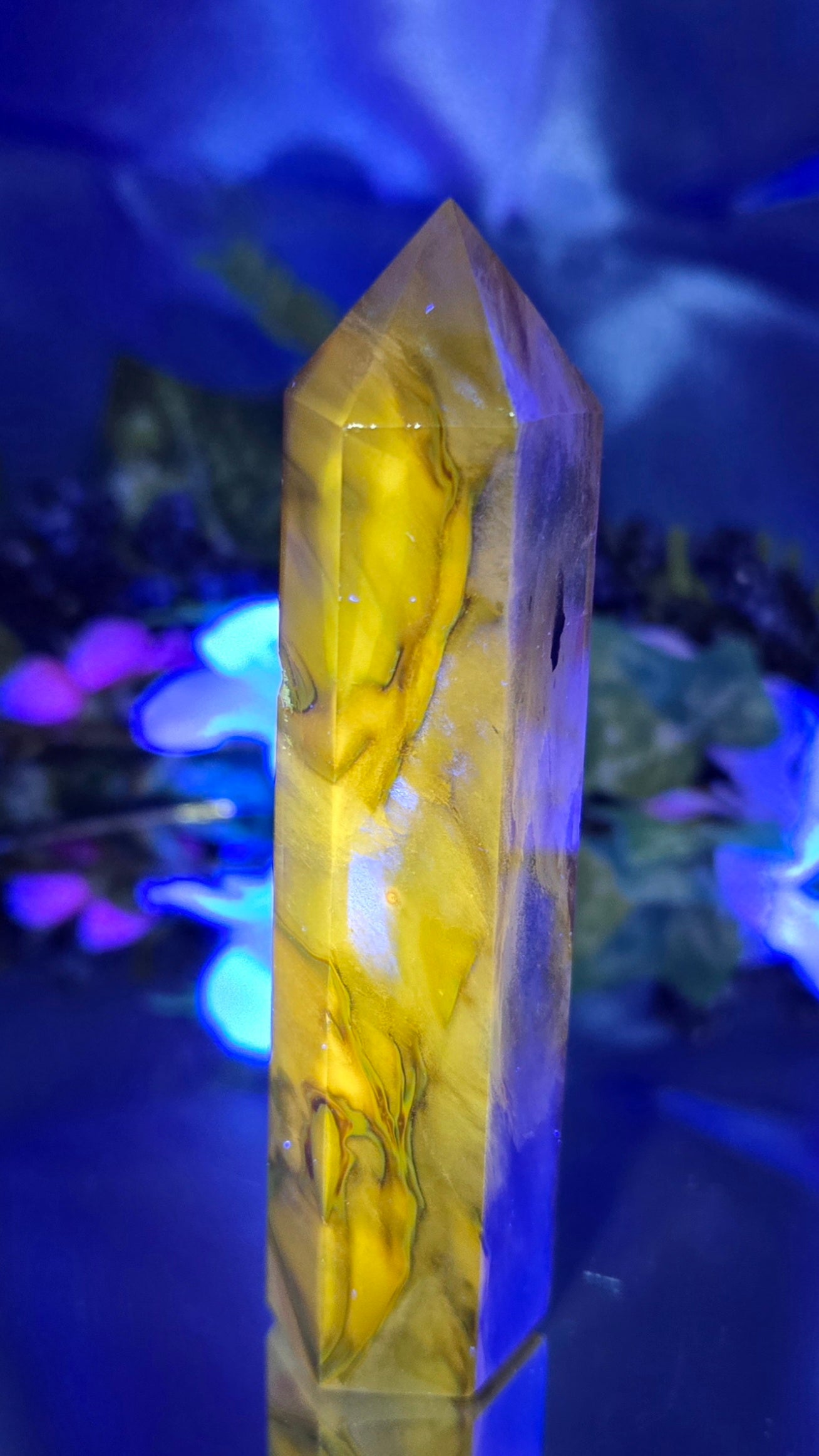 BUMBLE BEE JASPER