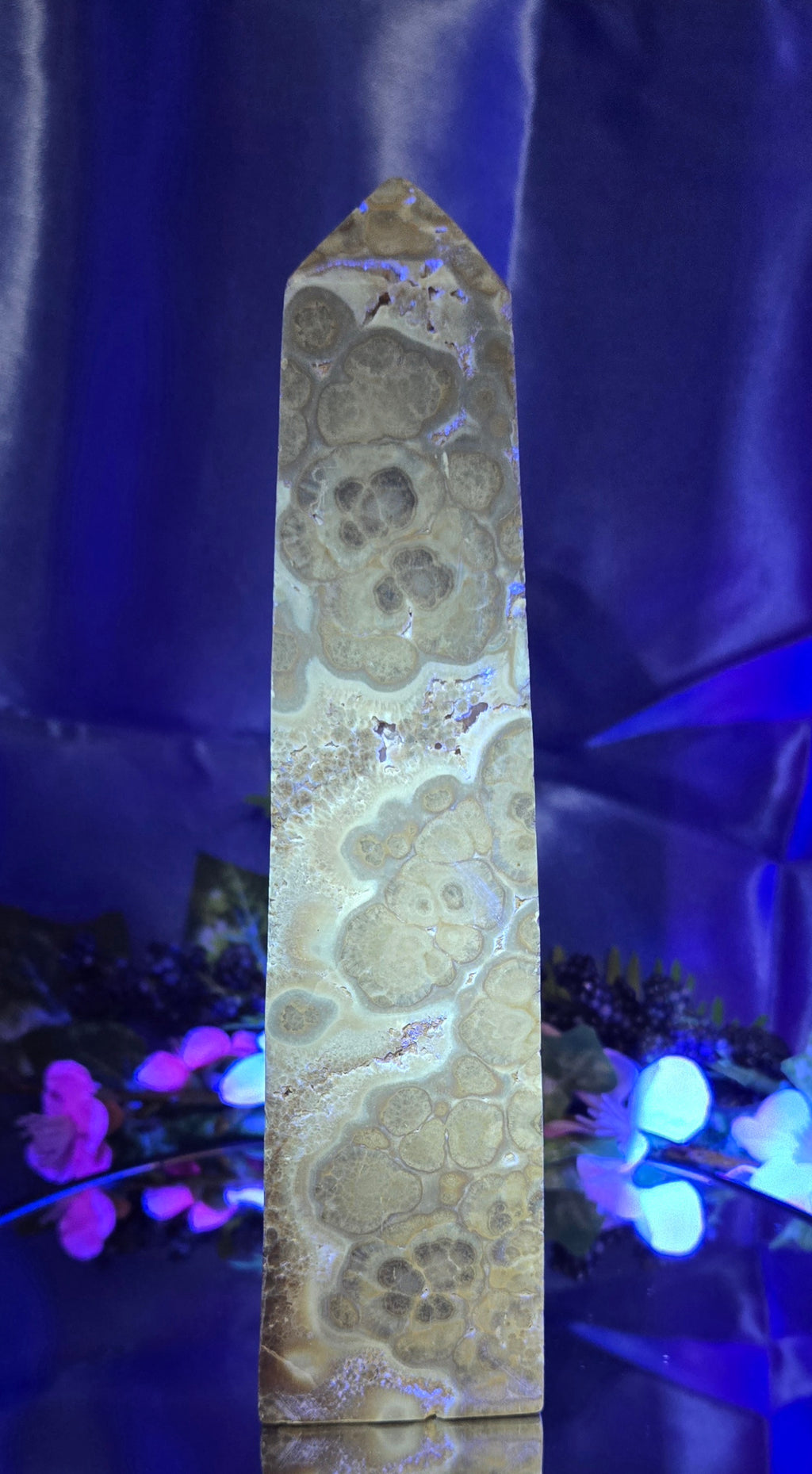 STROMATOLITE TOWER