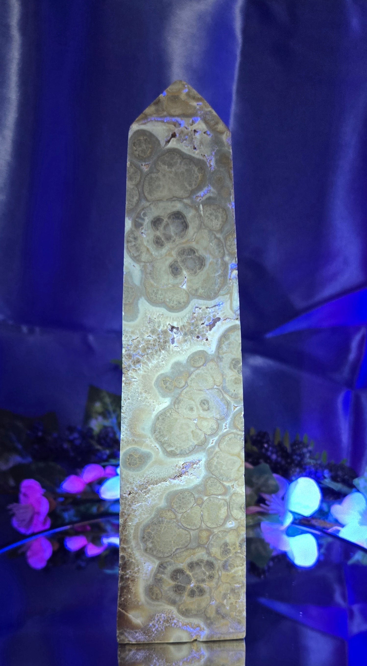 STROMATOLITE TOWER