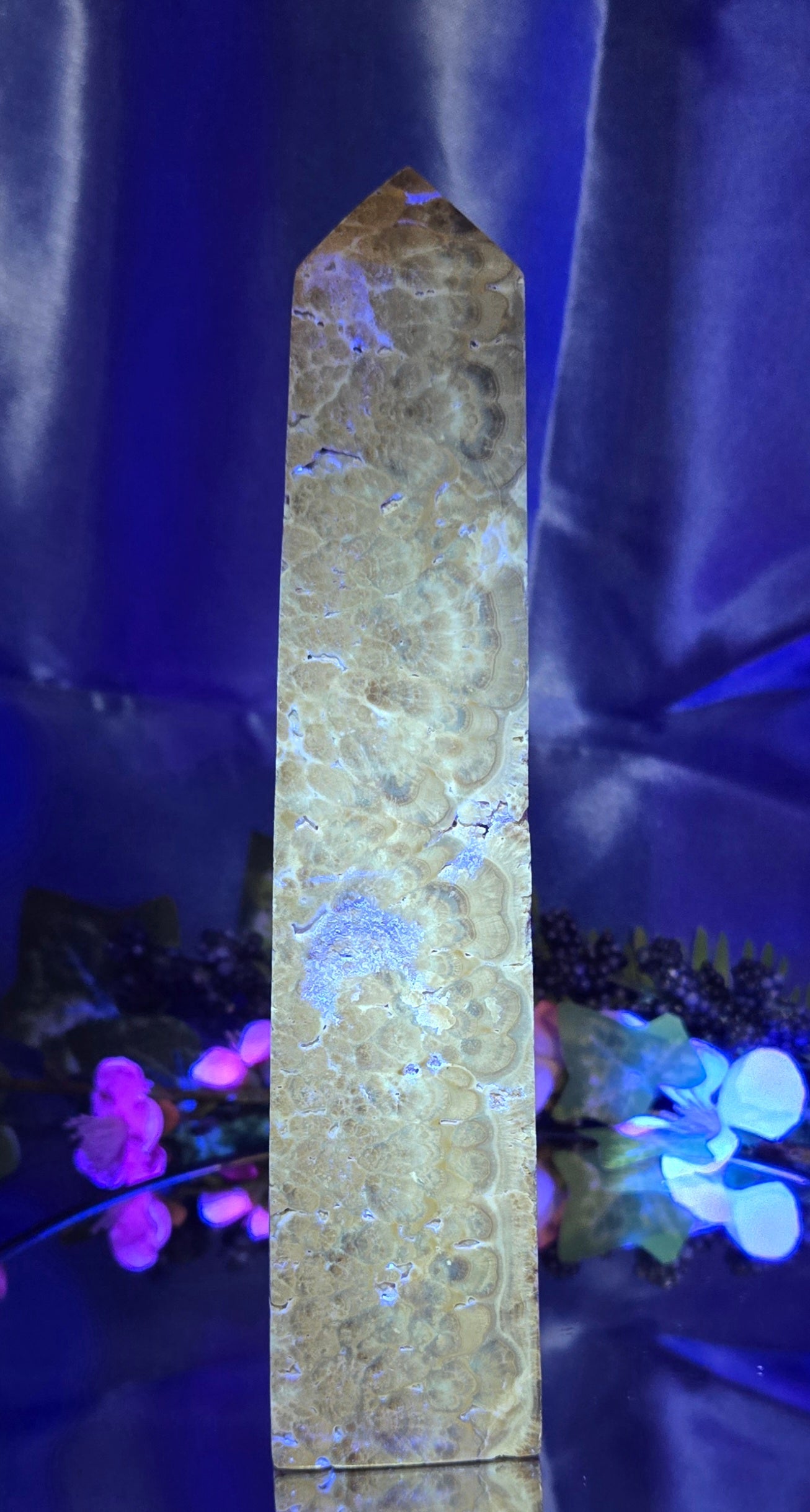 STROMATOLITE TOWER