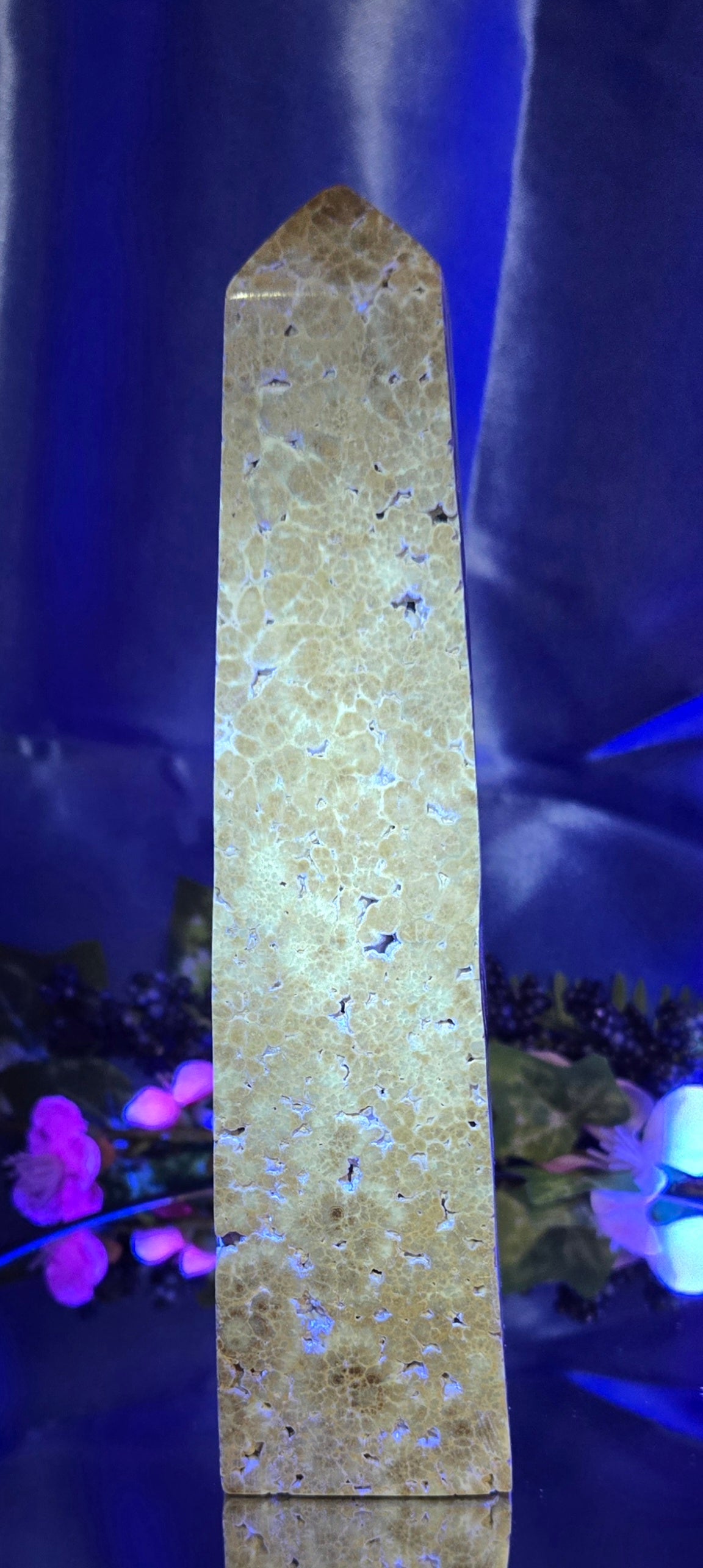 STROMATOLITE TOWER