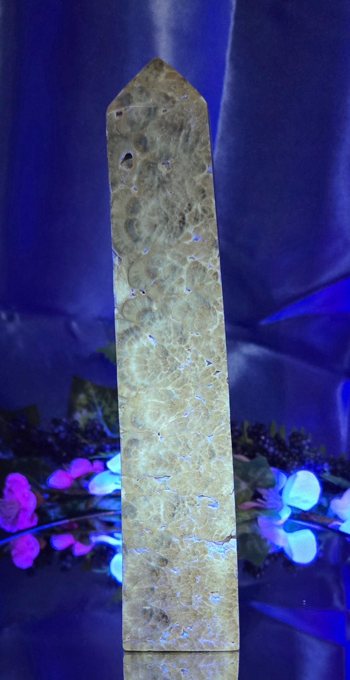 STROMATOLITE TOWER