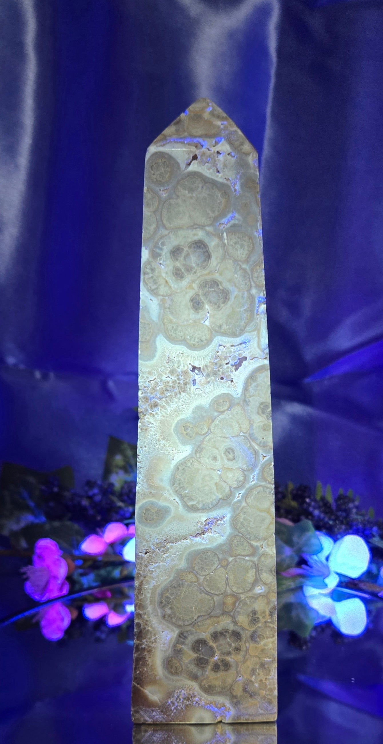 STROMATOLITE TOWER