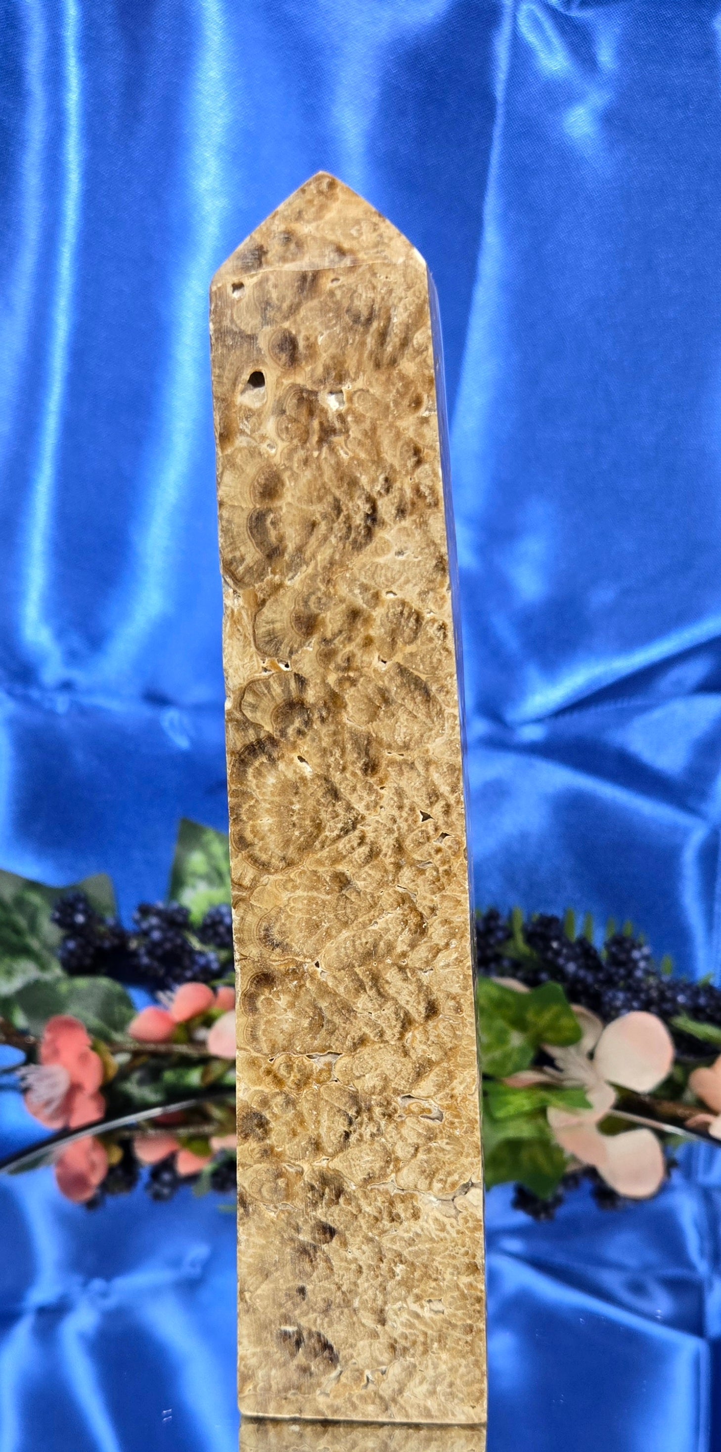 STROMATOLITE TOWER