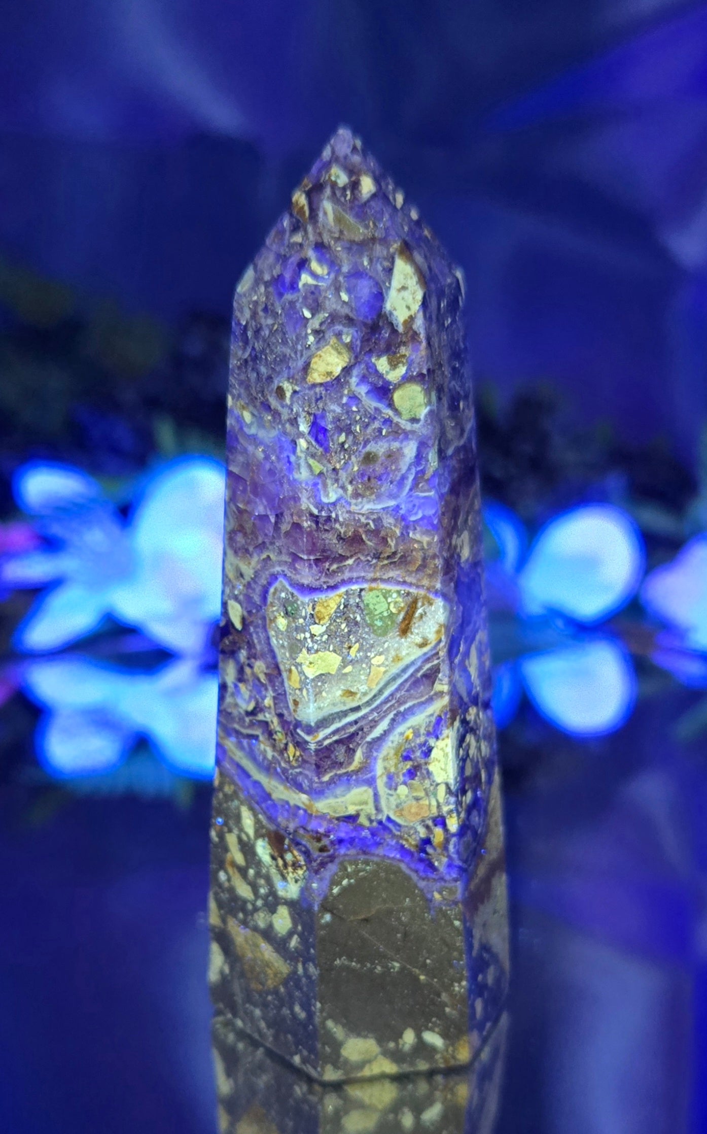 PURPLE BRECCIATED JASPER