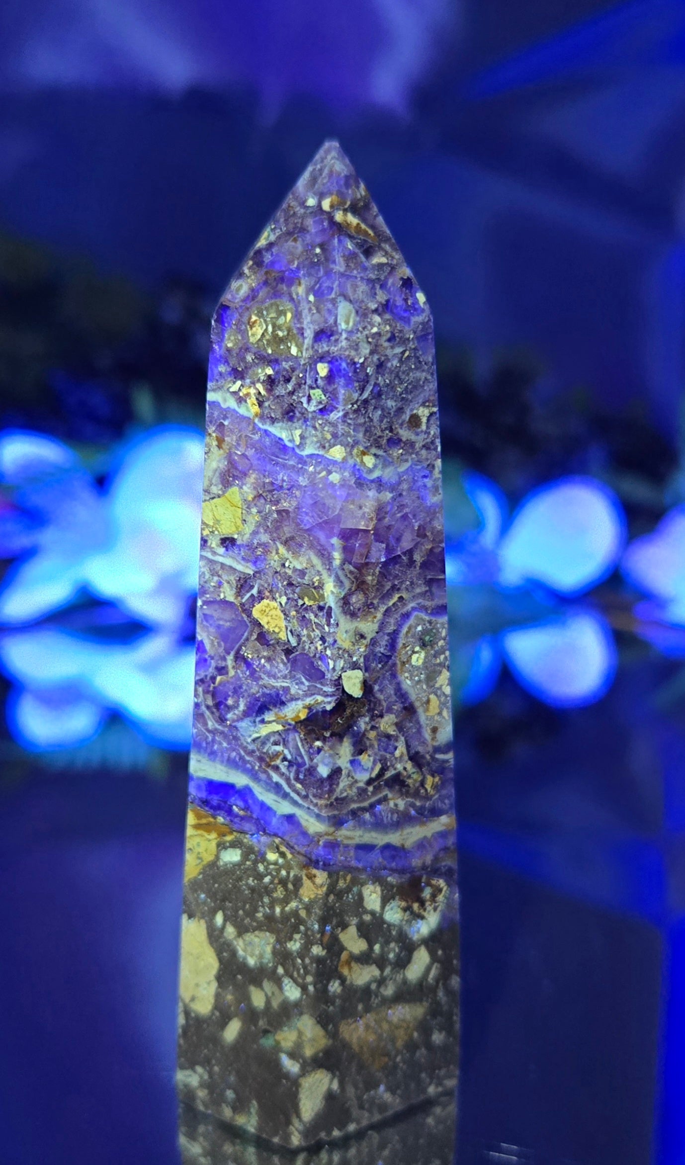PURPLE BRECCIATED JASPER