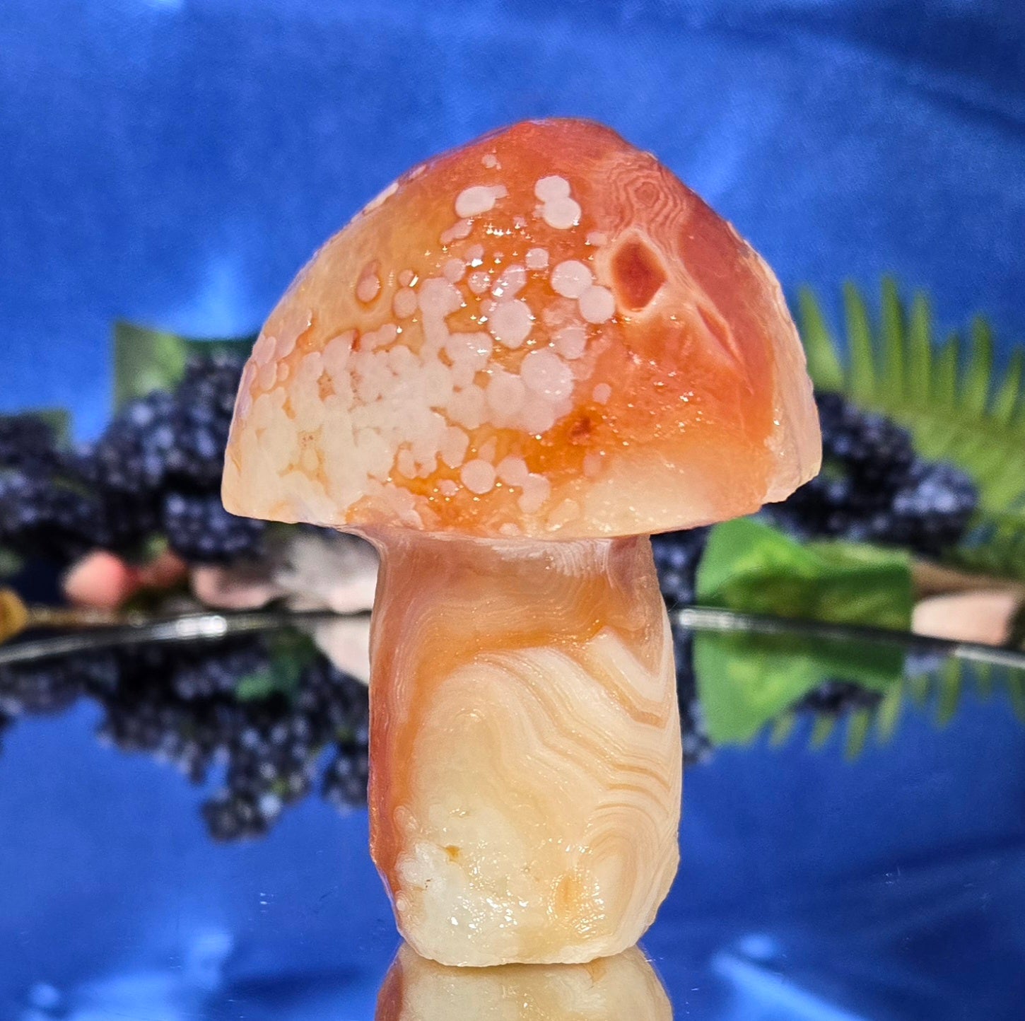 GOBI MUSHROOM AGATE