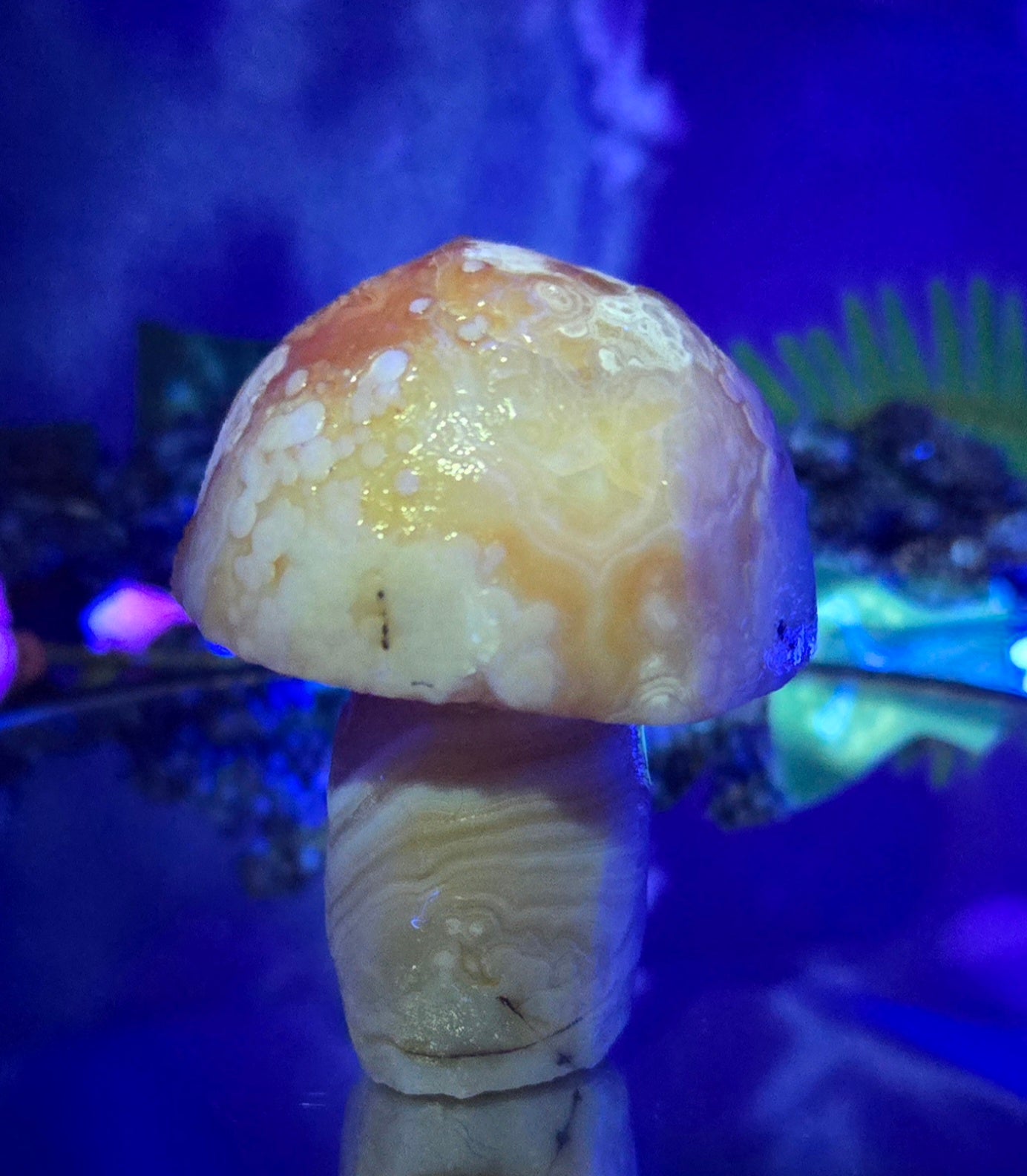 GOBI MUSHROOM AGATE