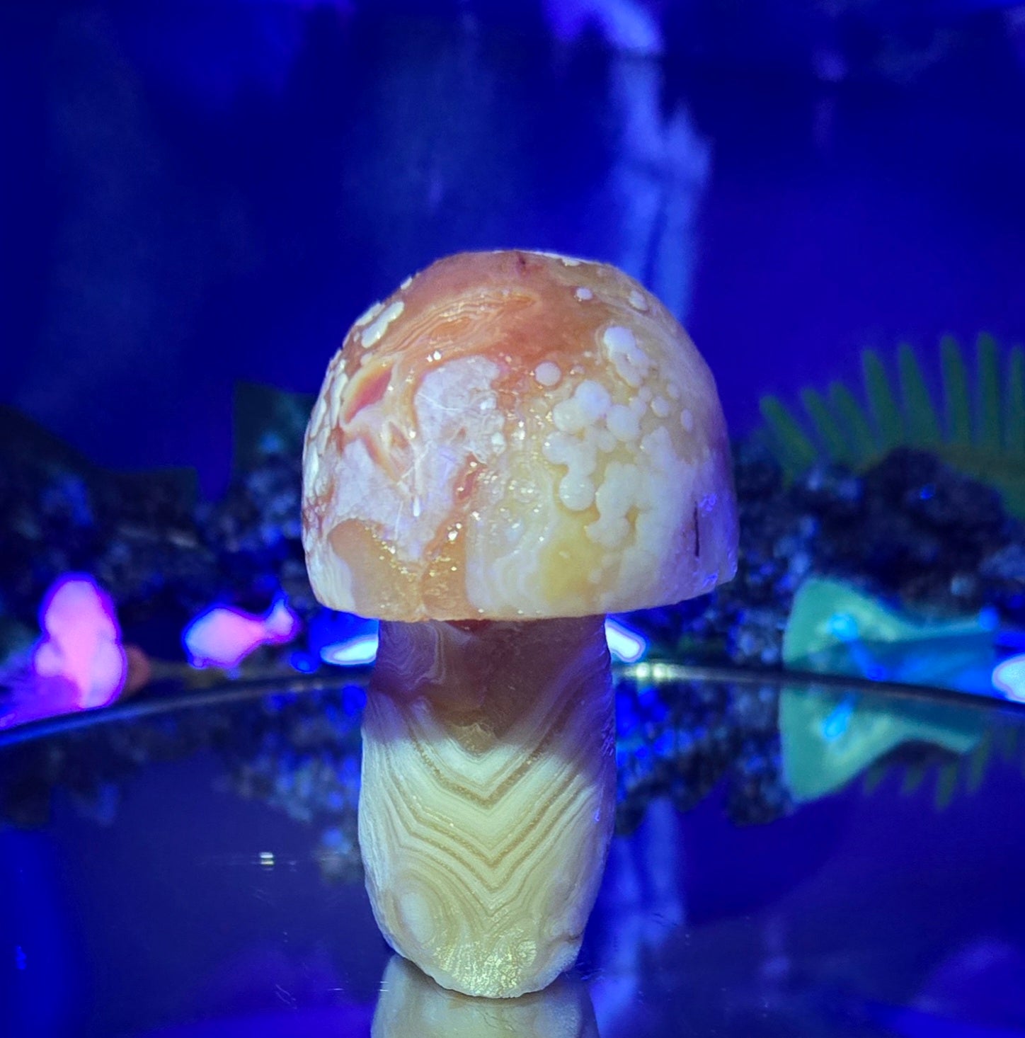 GOBI MUSHROOM AGATE