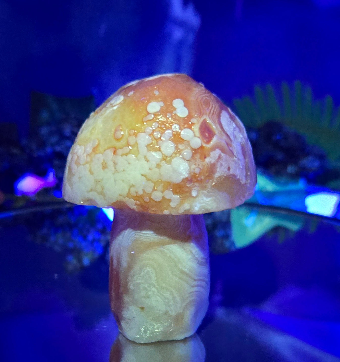 GOBI MUSHROOM AGATE