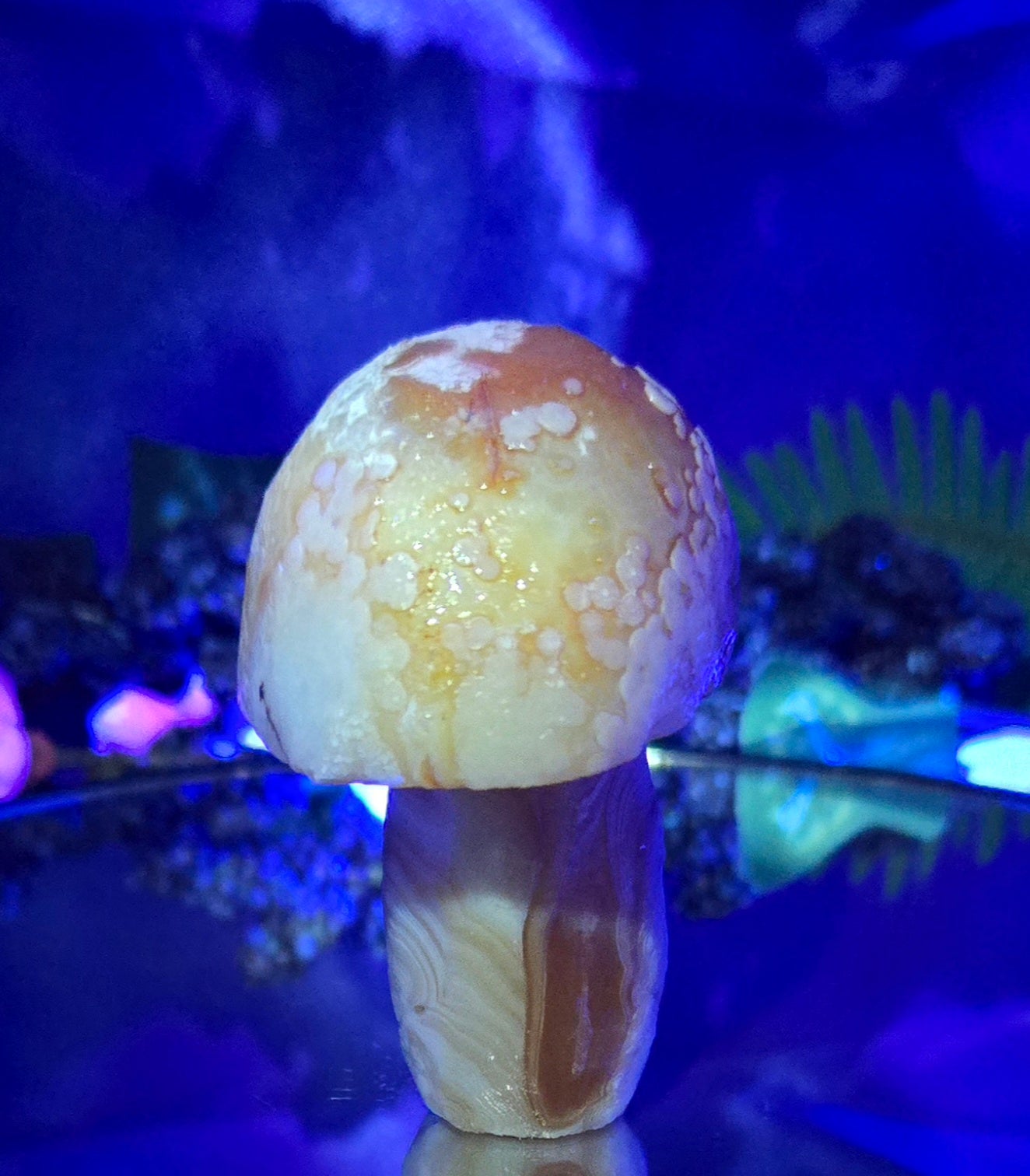 GOBI MUSHROOM AGATE