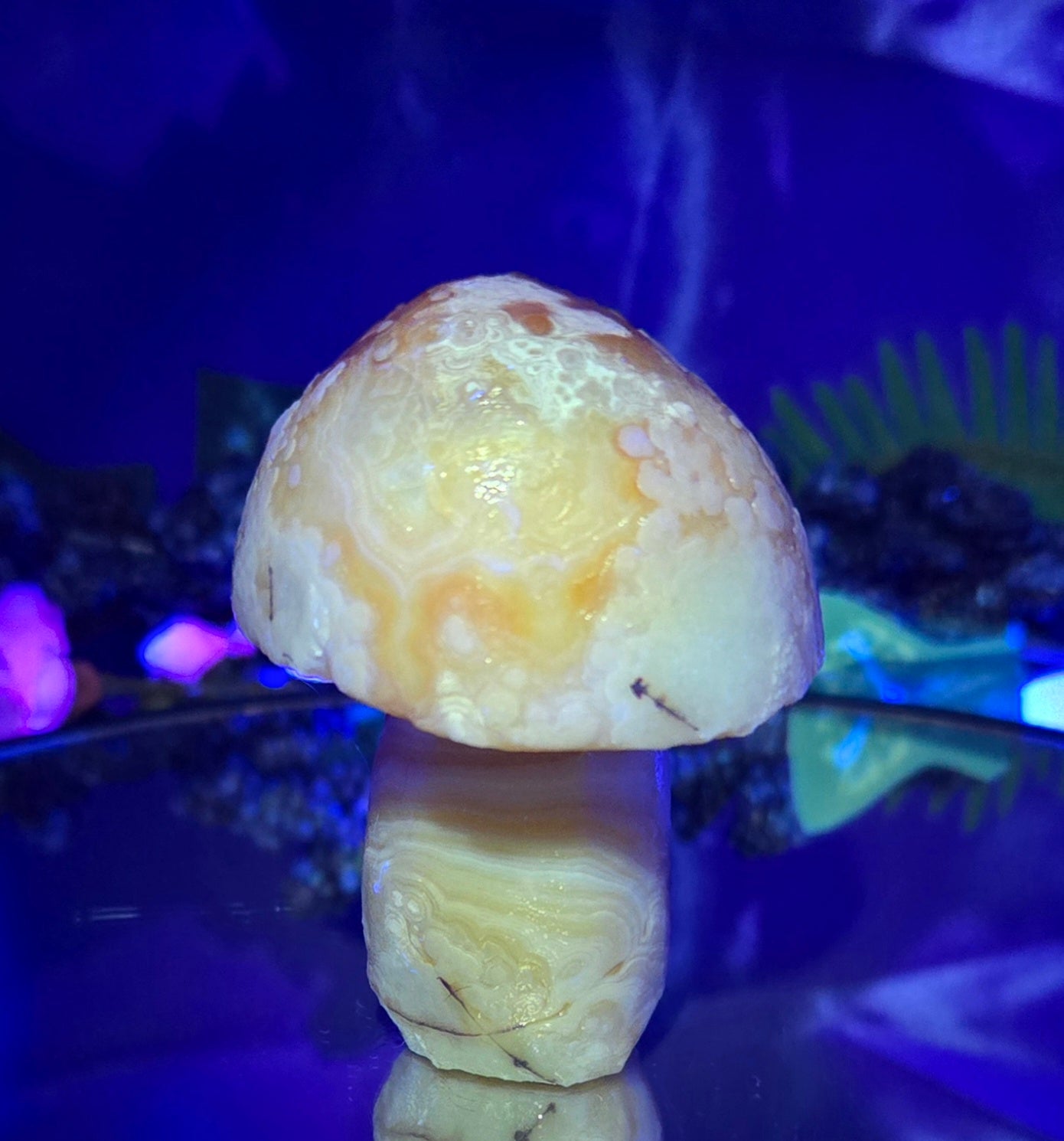 GOBI MUSHROOM AGATE