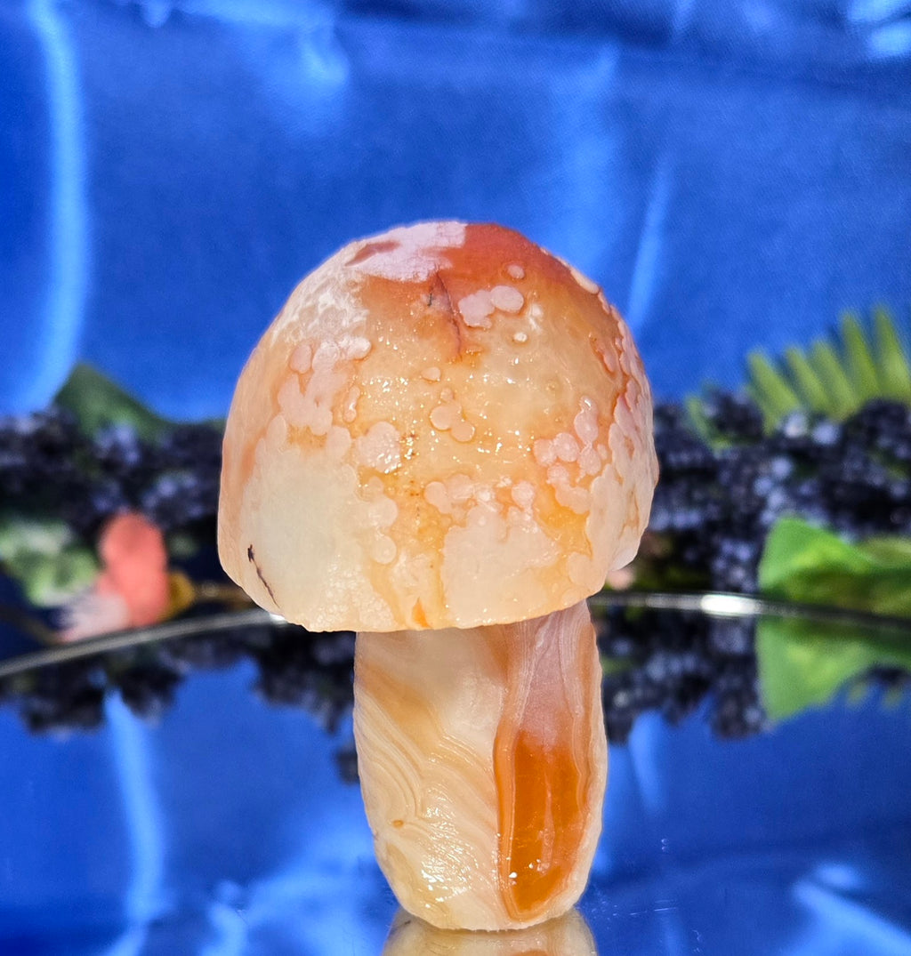 GOBI MUSHROOM AGATE