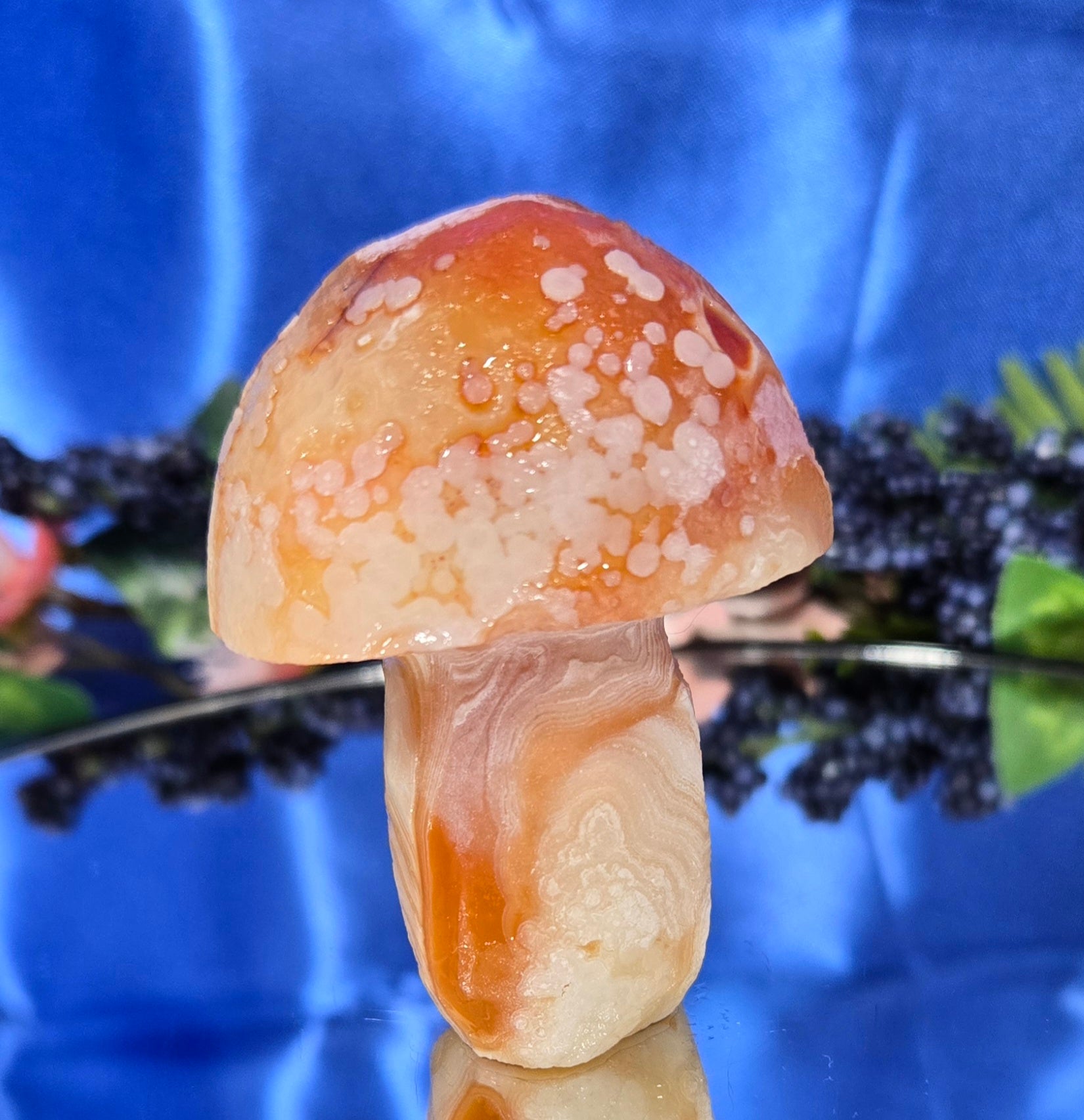 GOBI MUSHROOM AGATE