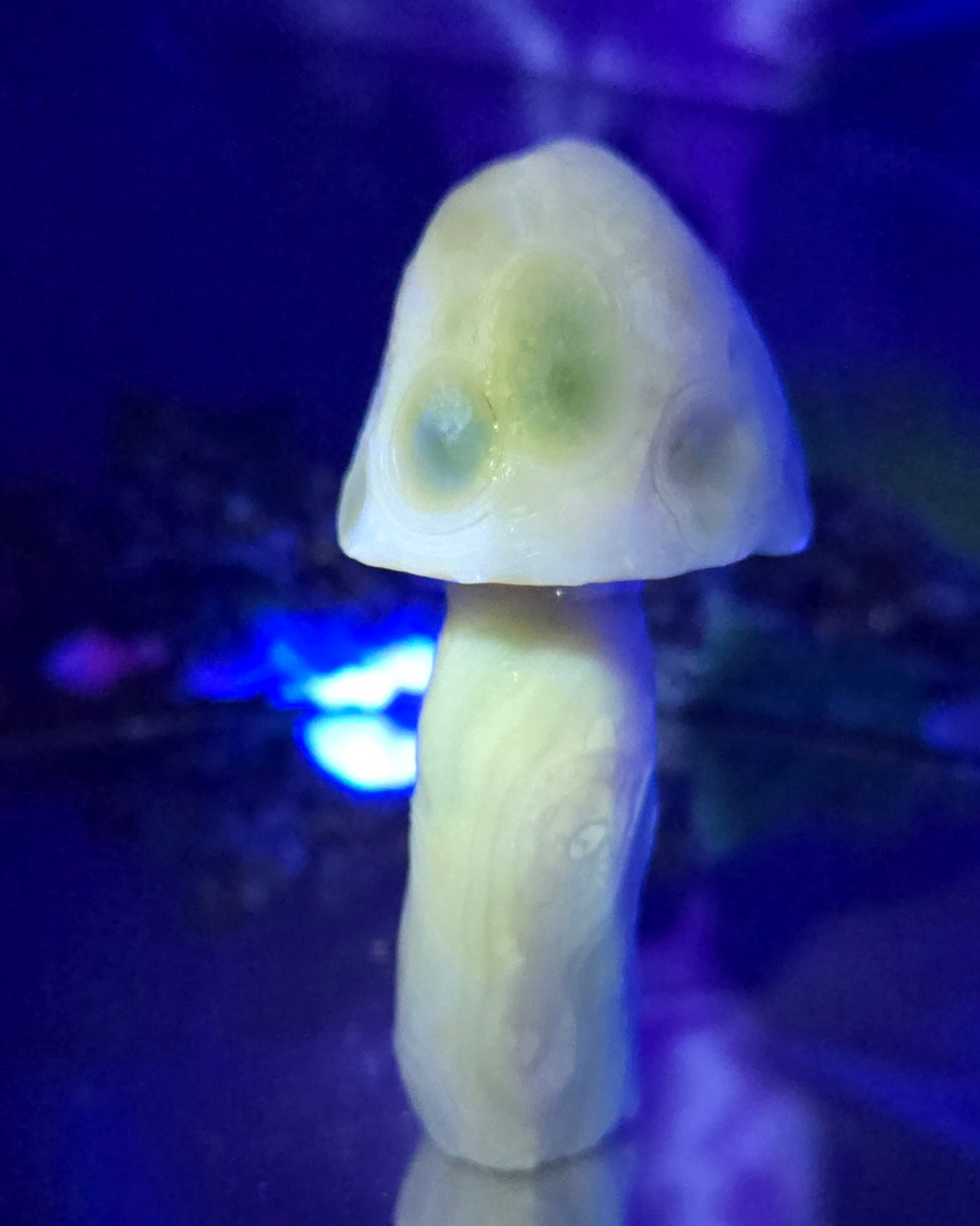 GOBI MUSHROOM AGATE