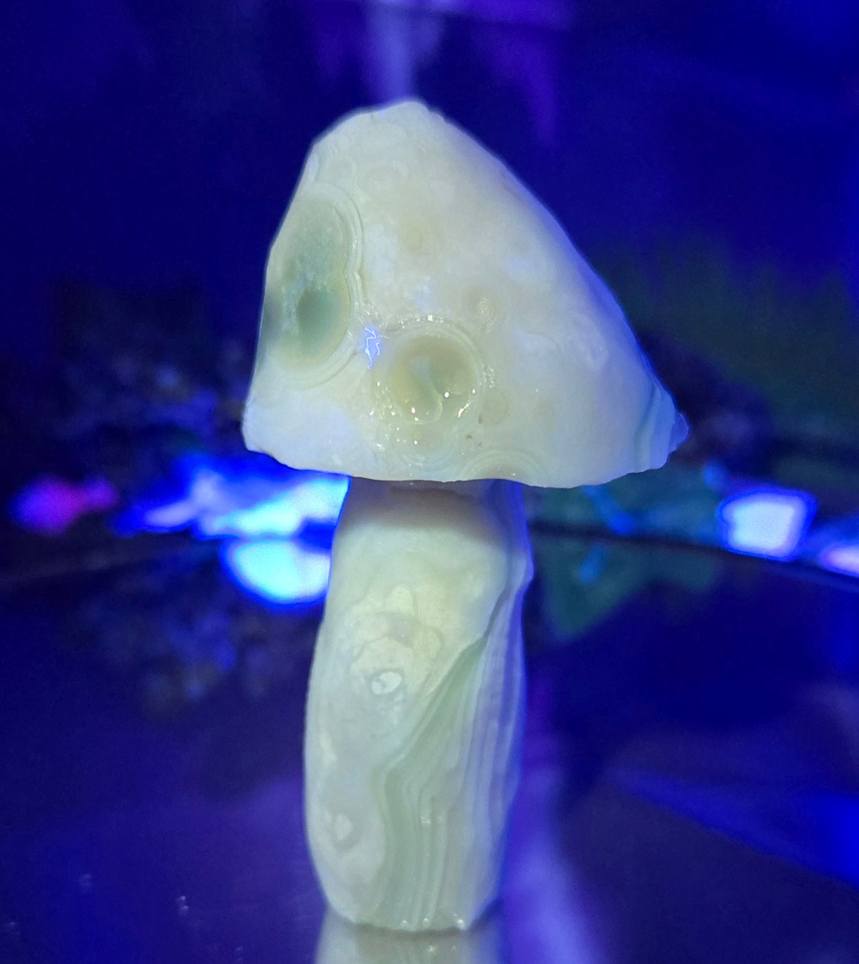 GOBI MUSHROOM AGATE