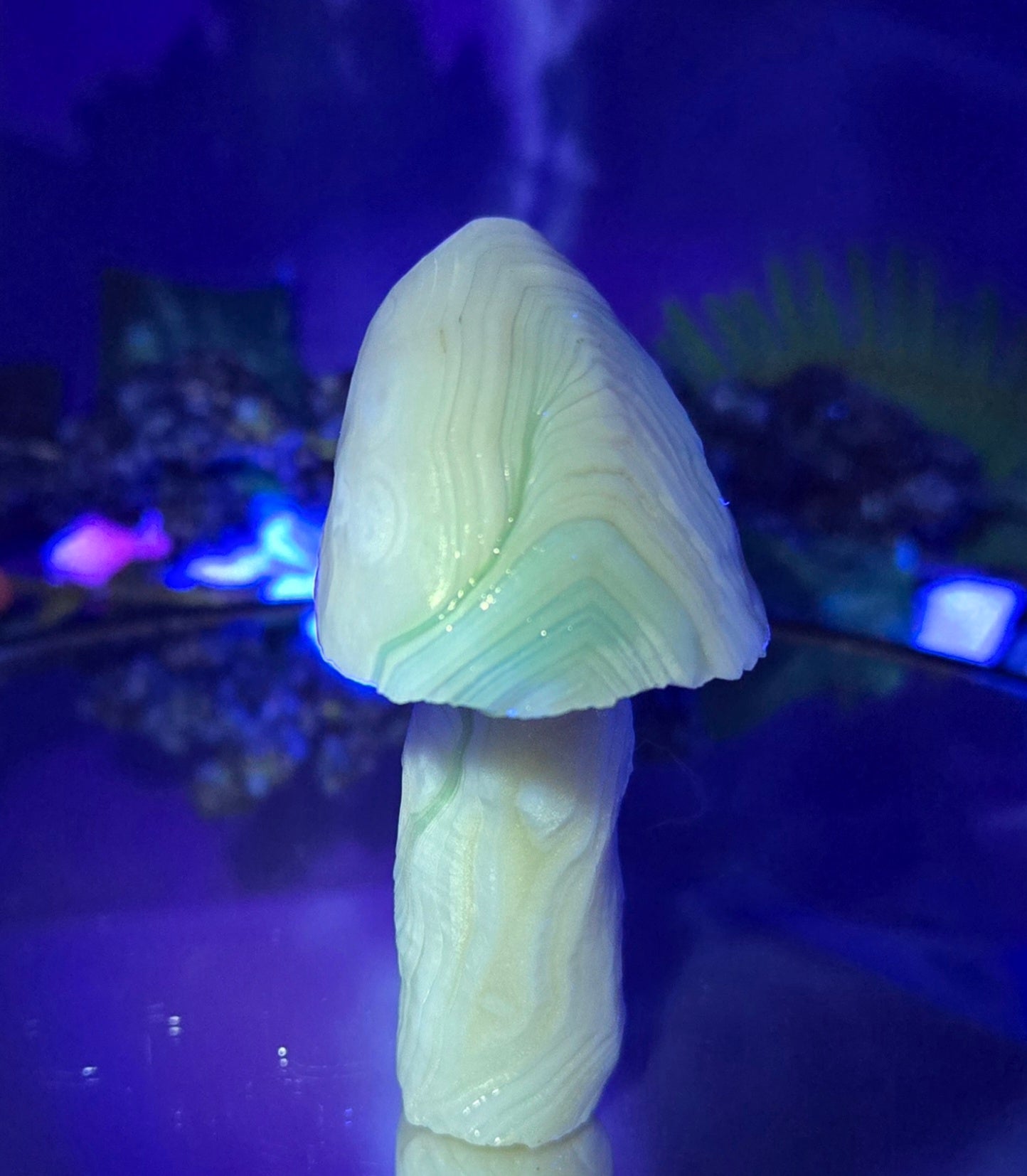 GOBI MUSHROOM AGATE