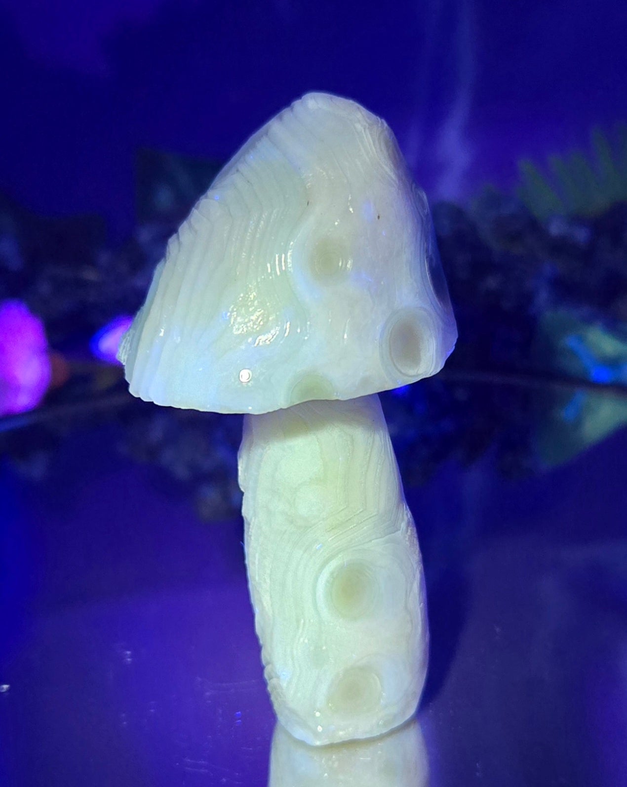 GOBI MUSHROOM AGATE