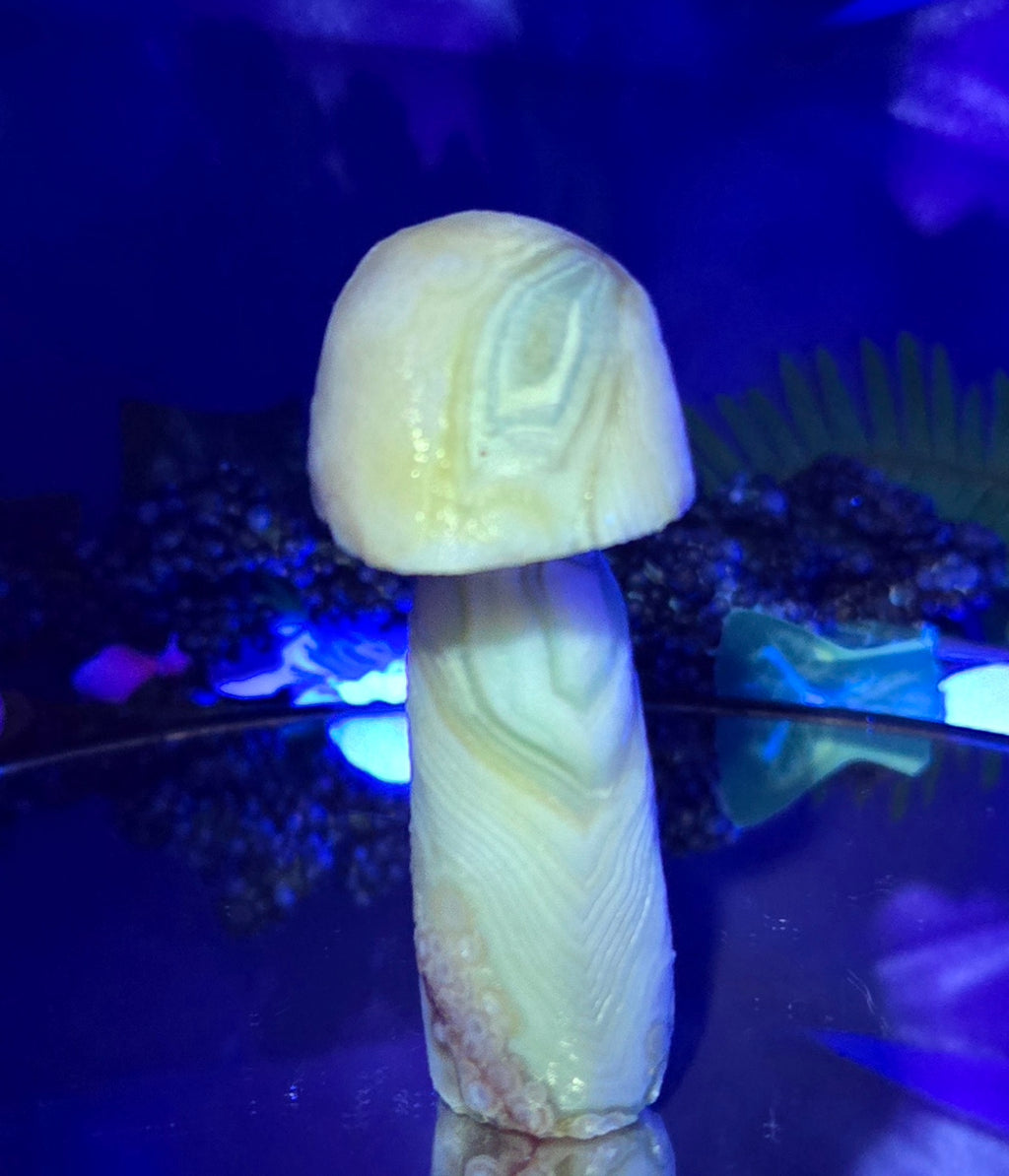 GOBI MUSHROOM AGATE