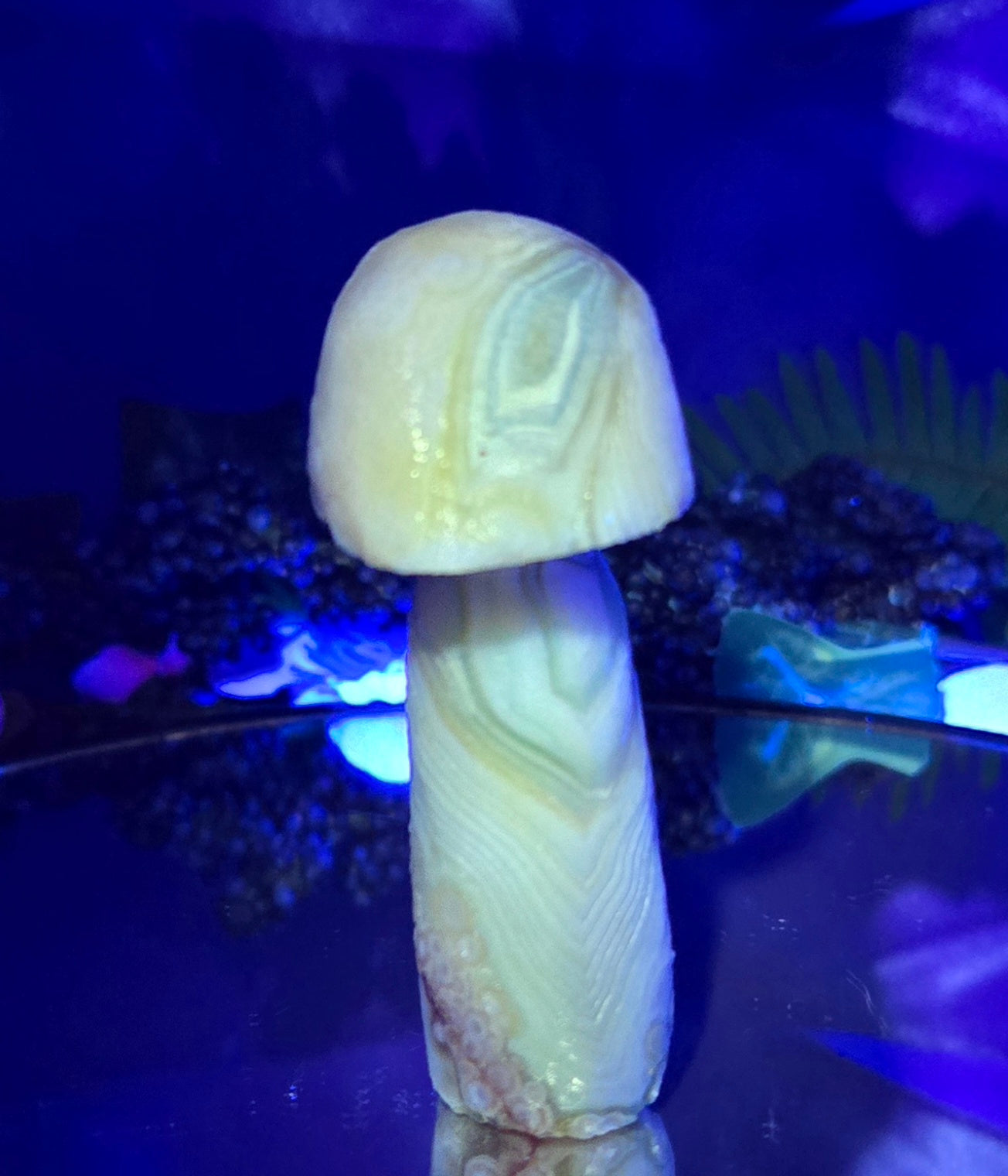 GOBI MUSHROOM AGATE