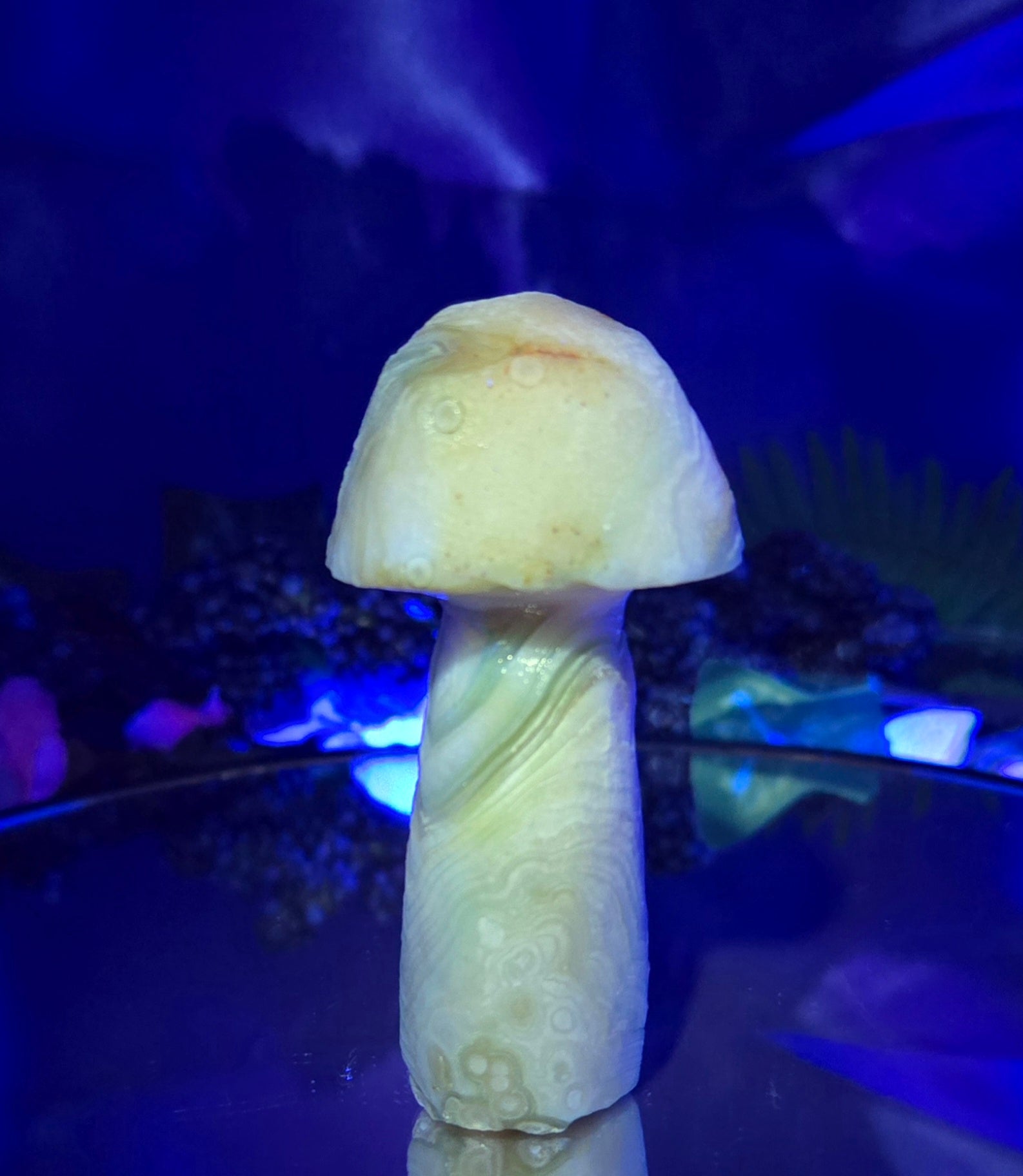 GOBI MUSHROOM AGATE