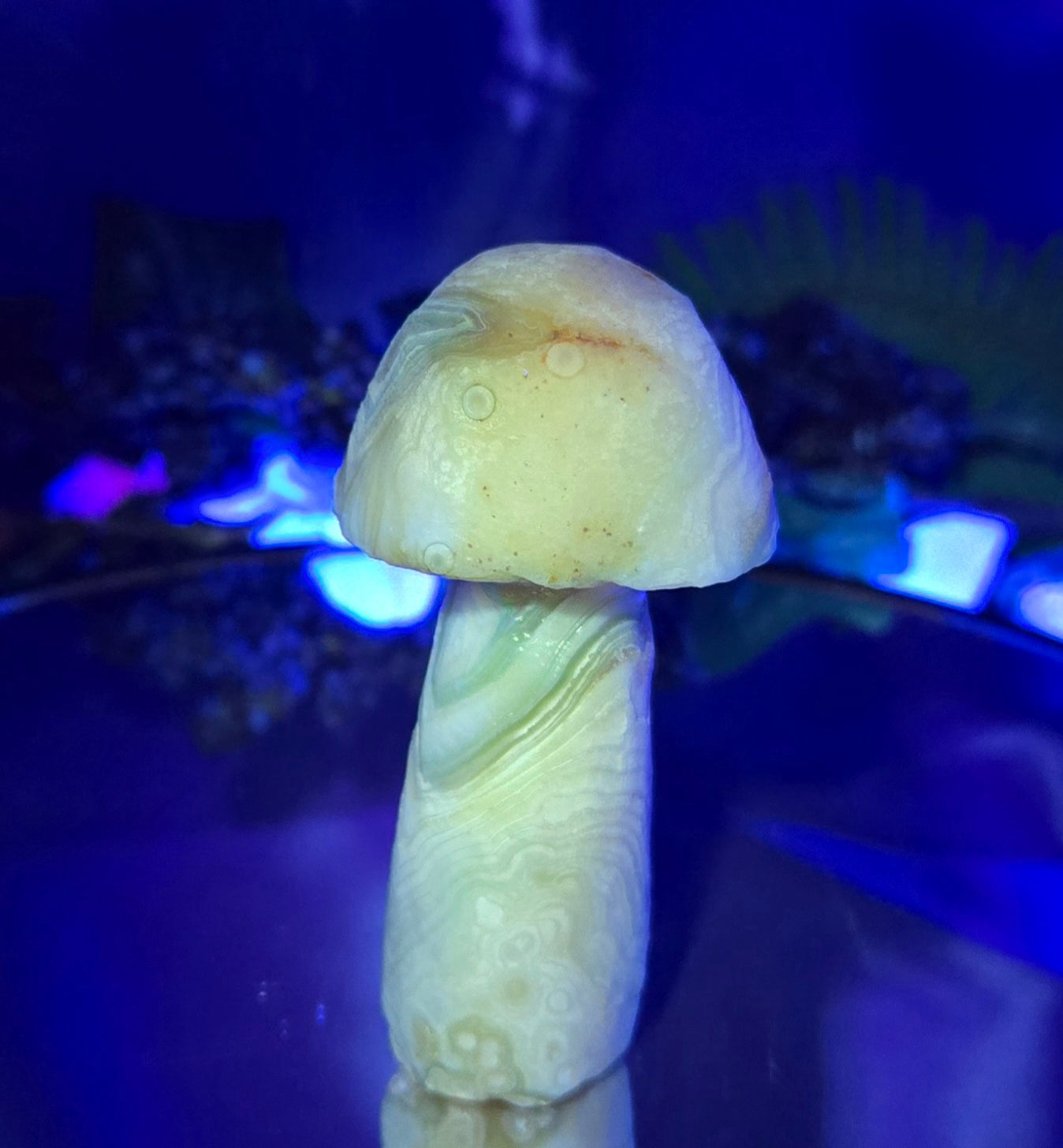 GOBI MUSHROOM AGATE