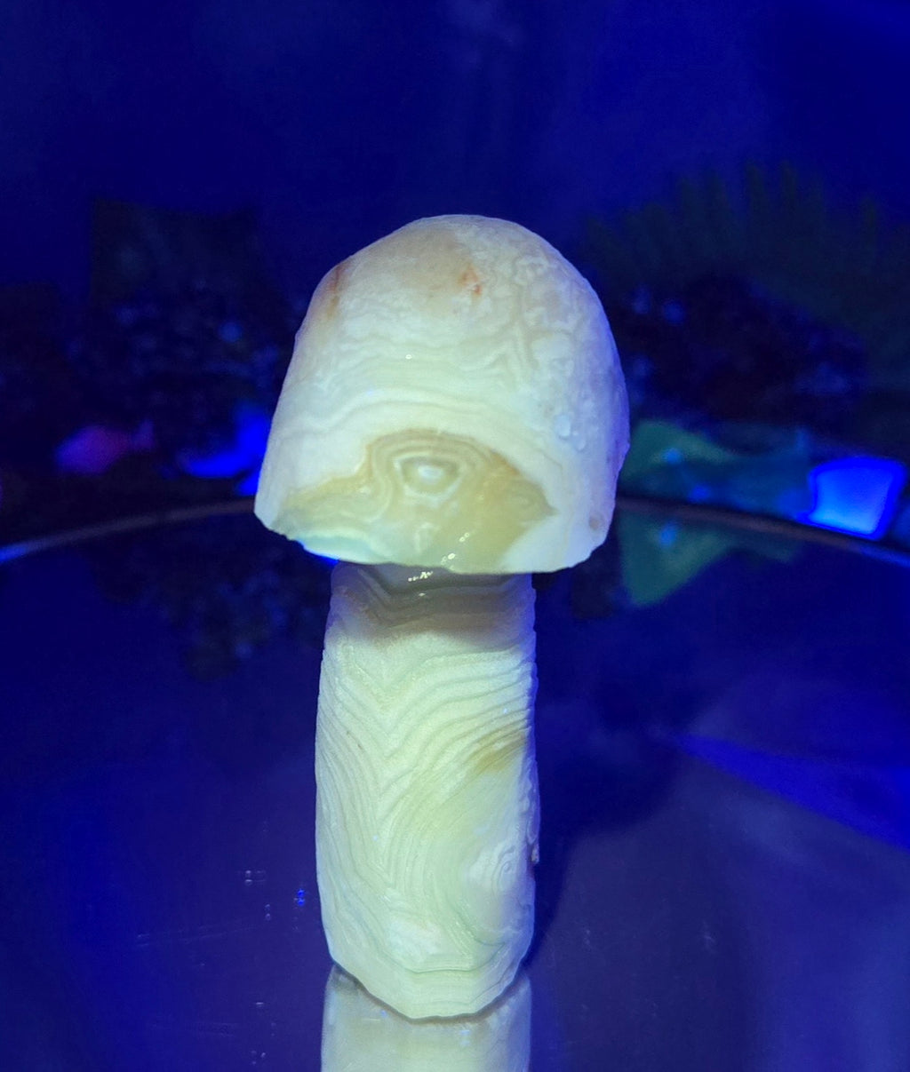 GOBI MUSHROOM AGATE