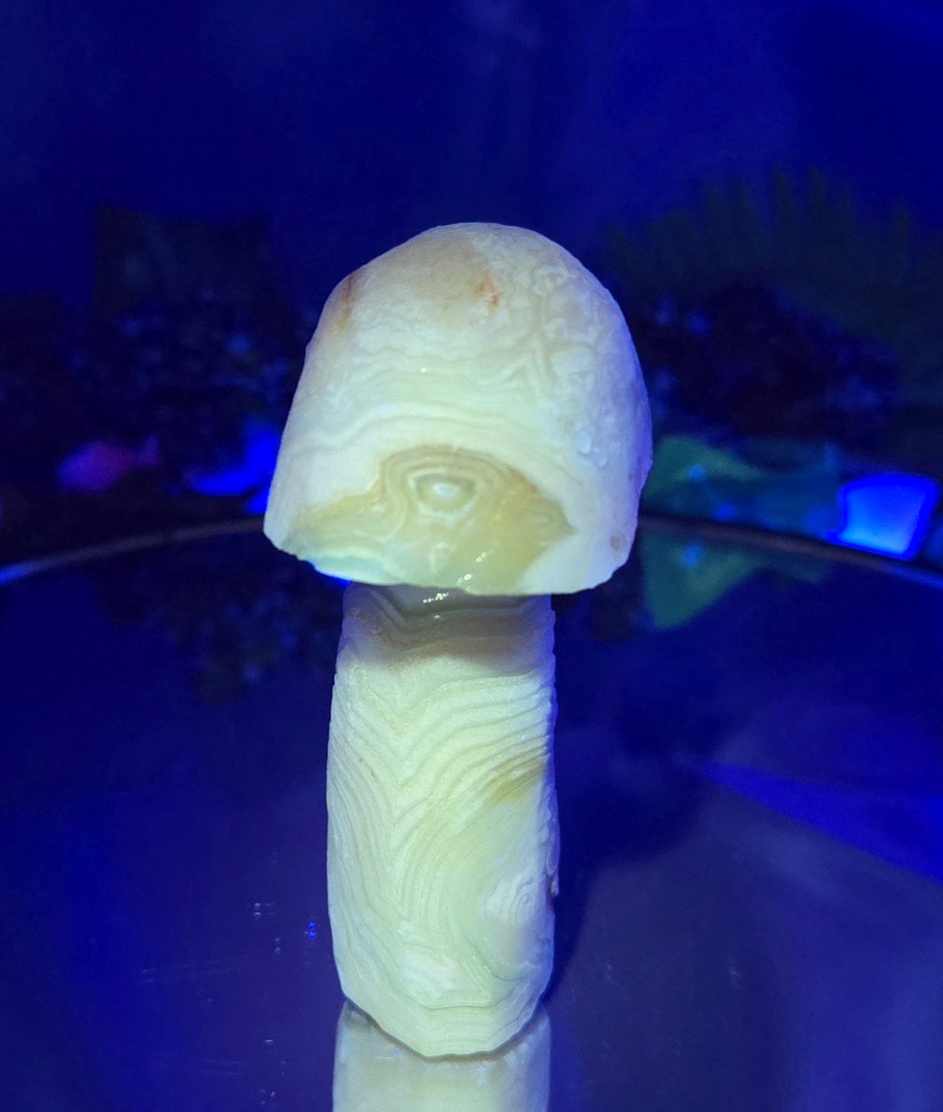 GOBI MUSHROOM AGATE