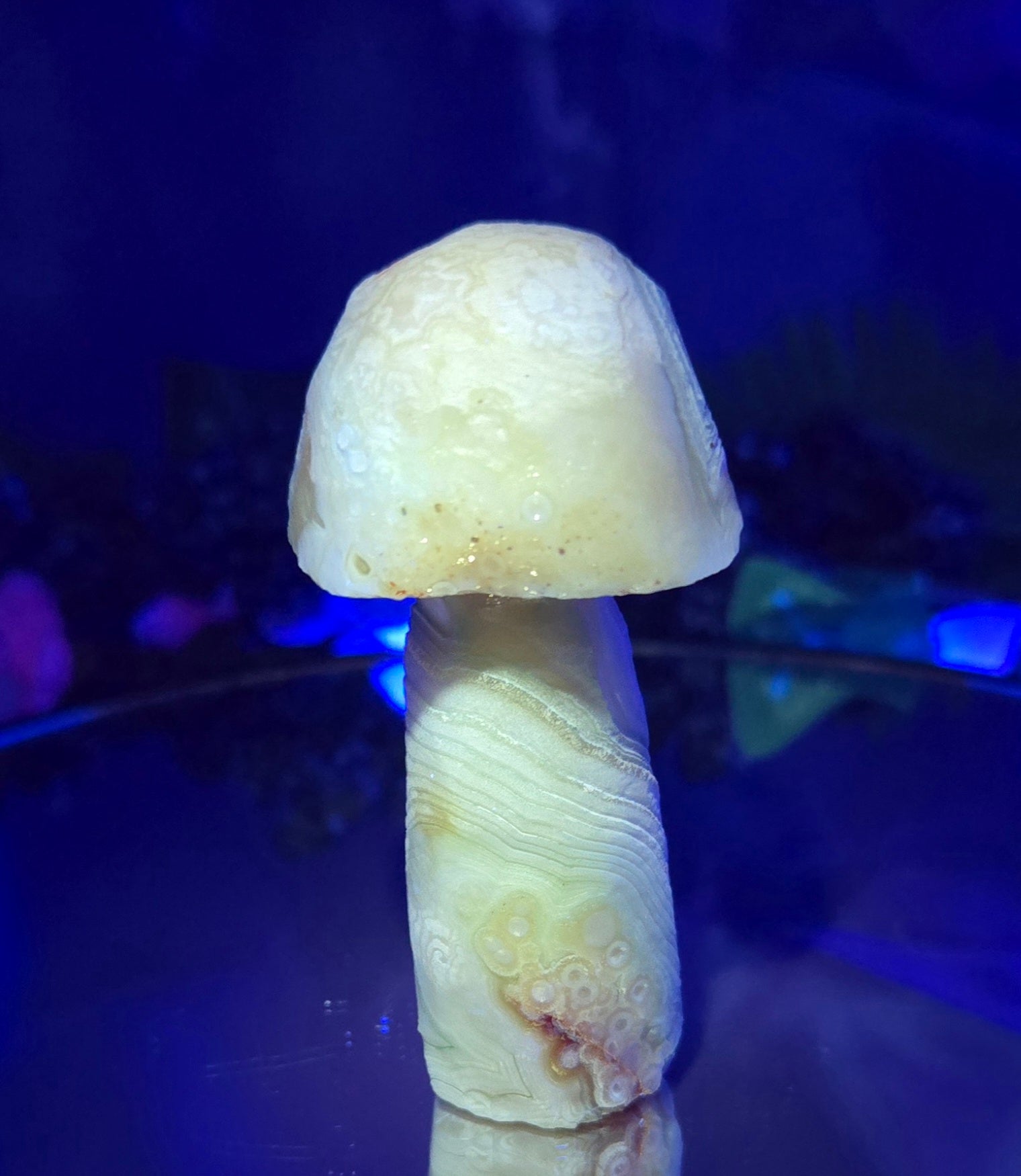 GOBI MUSHROOM AGATE