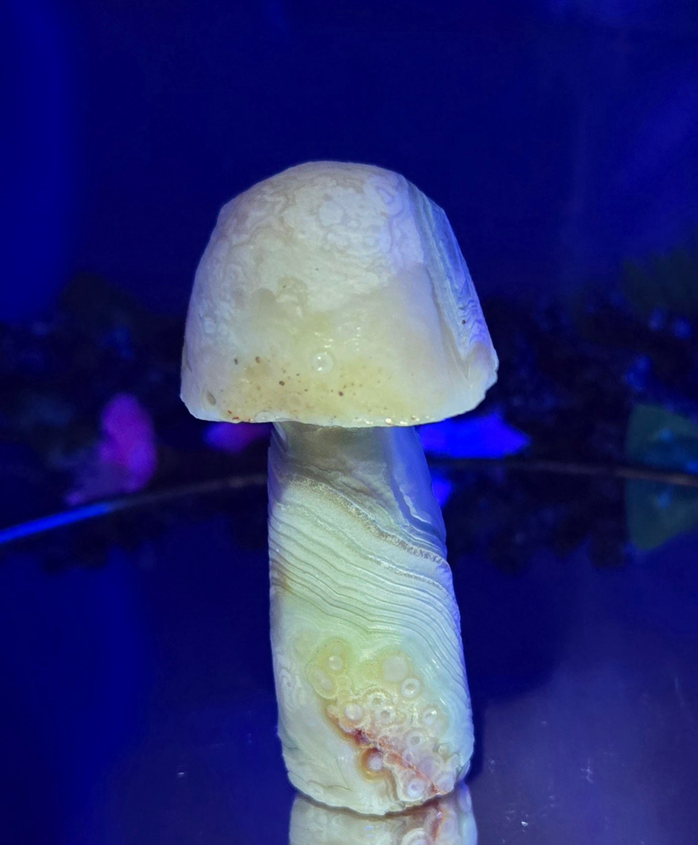 GOBI MUSHROOM AGATE