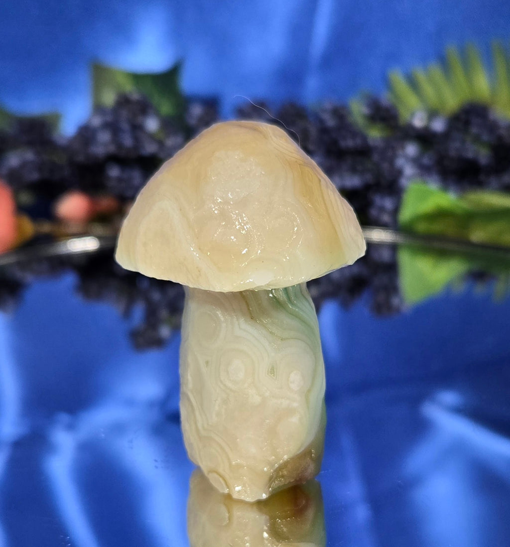 GOBI MUSHROOM AGATE